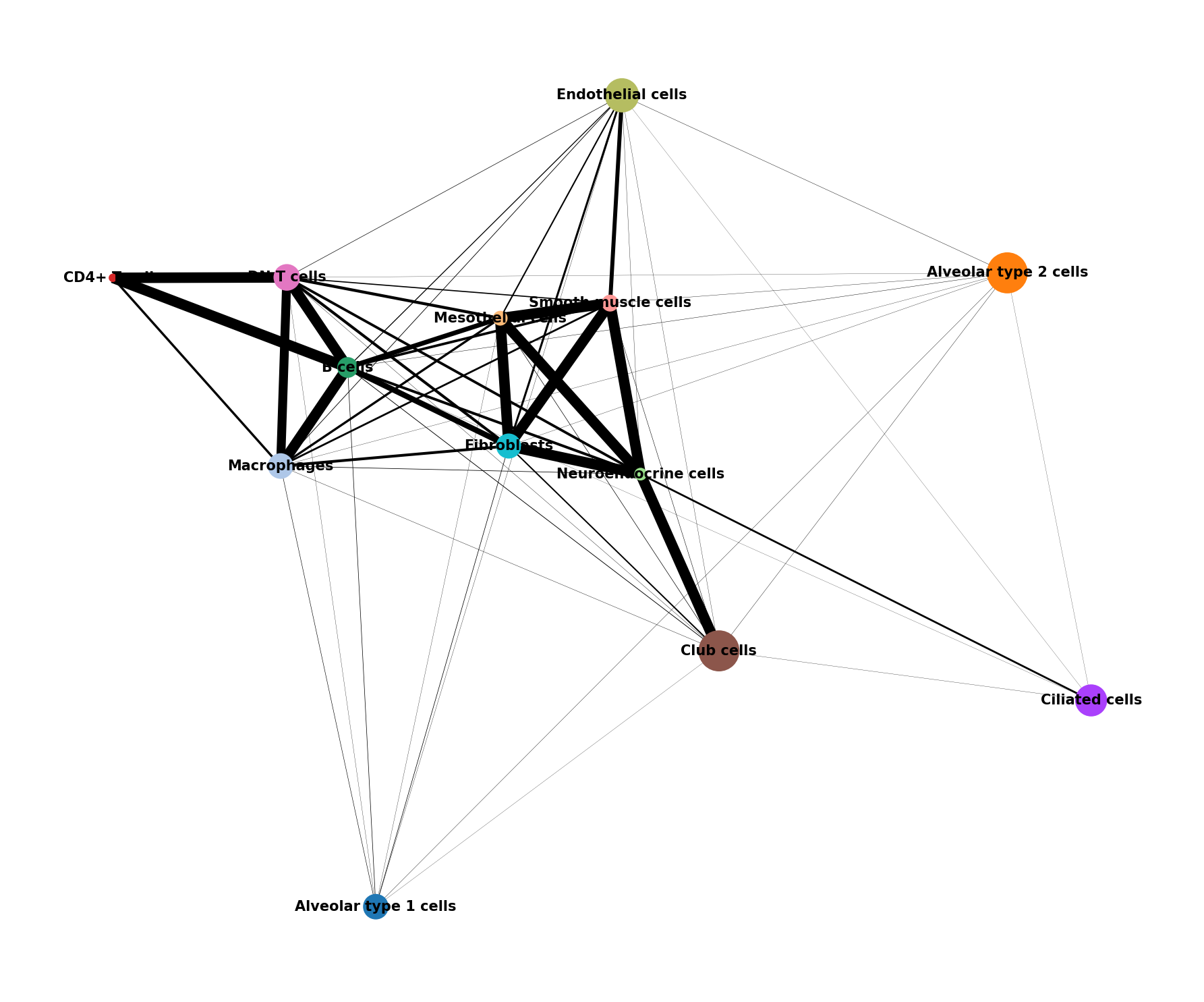 PAGA Connectivity Graph