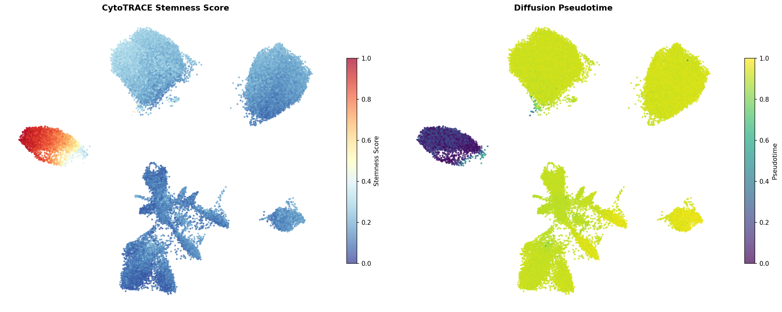 Pseudotime UMAP