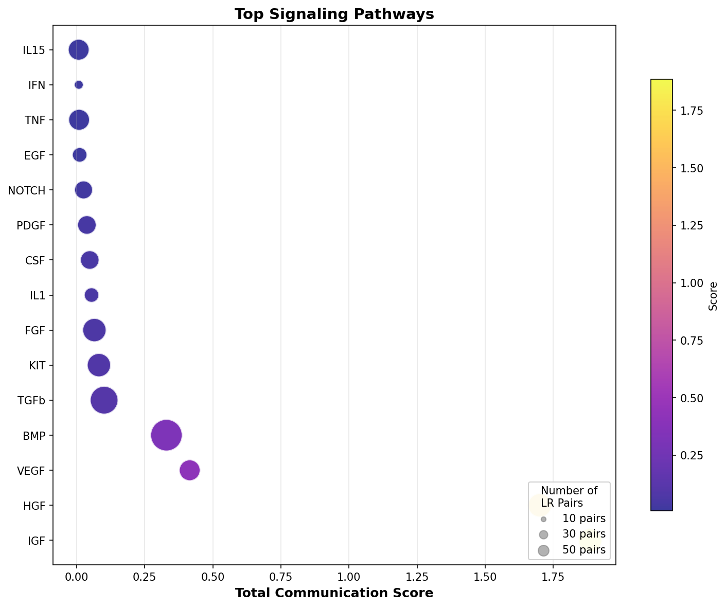 Signaling Pathway Activity