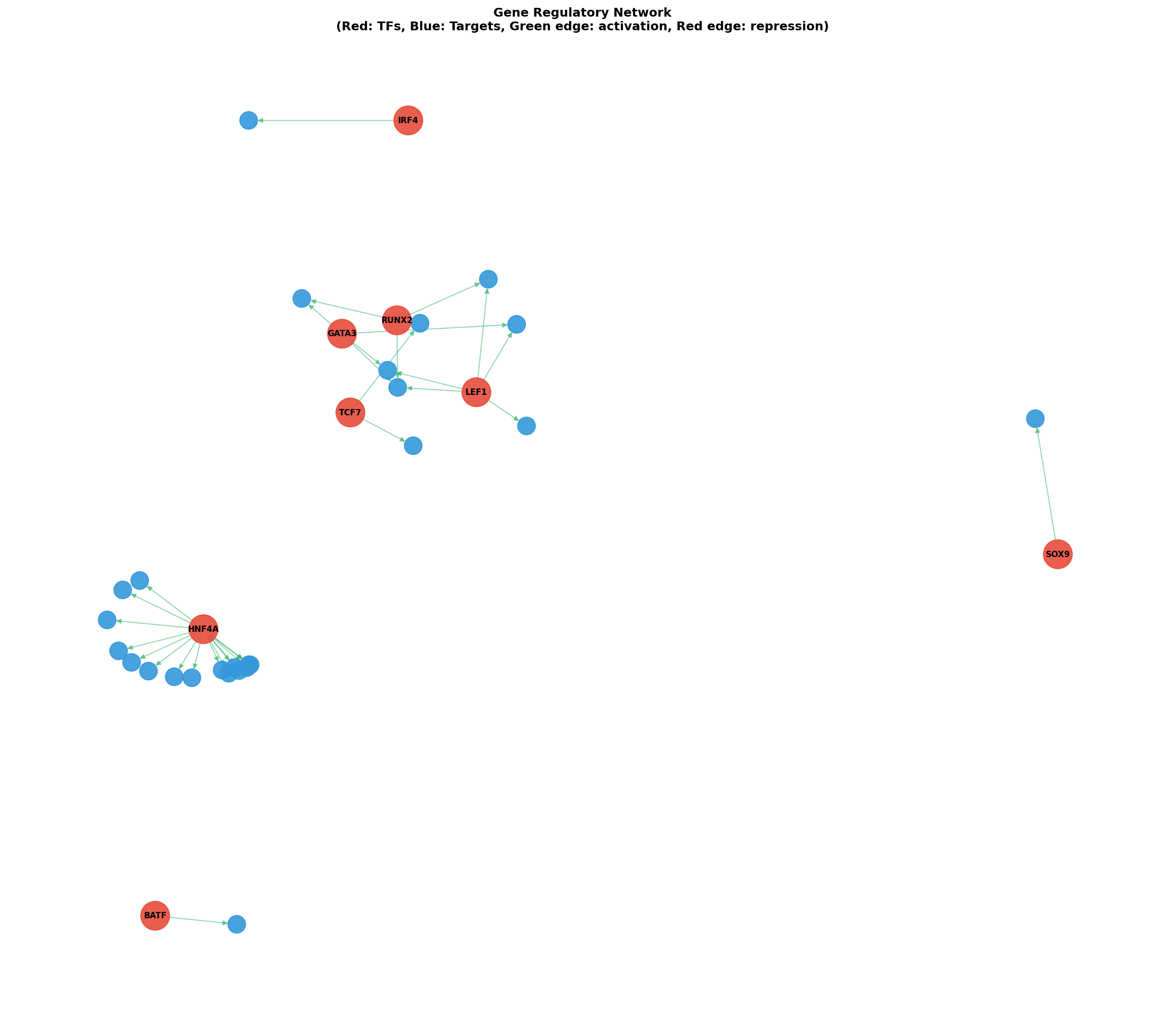 Gene Regulatory Network