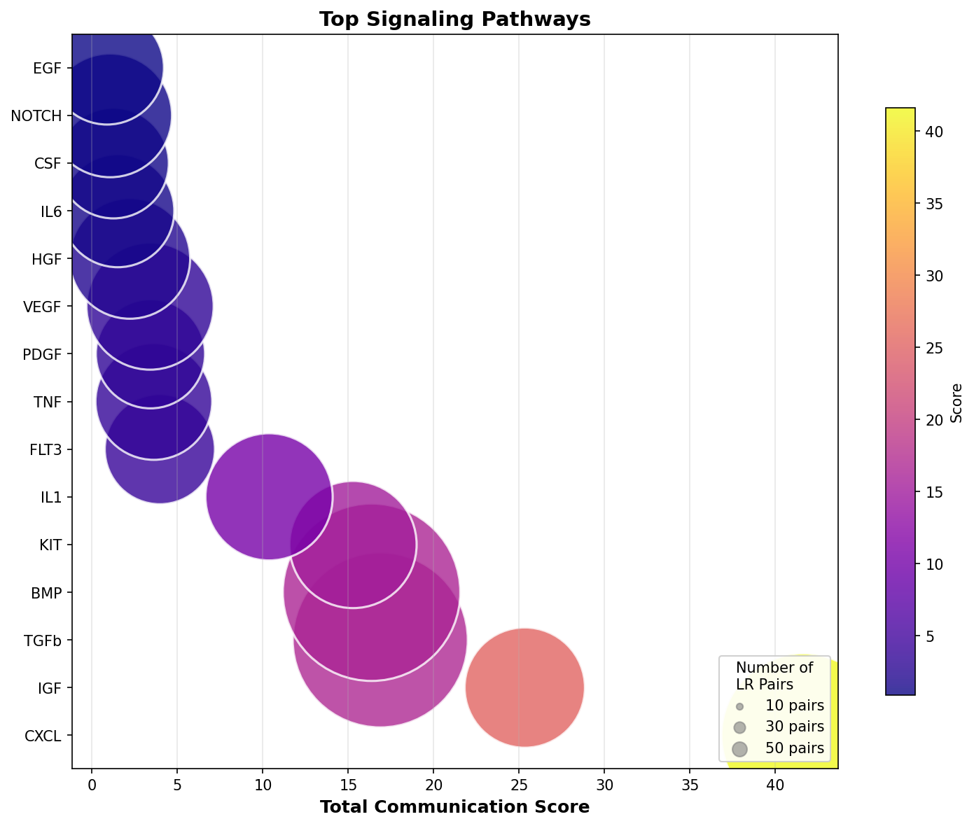 Signaling Pathway Activity