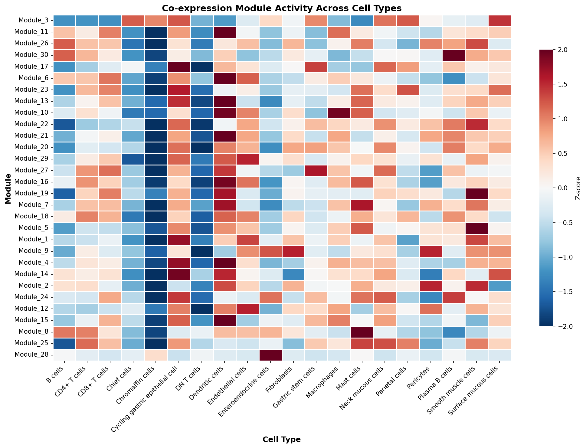 Module-Cell Type Association