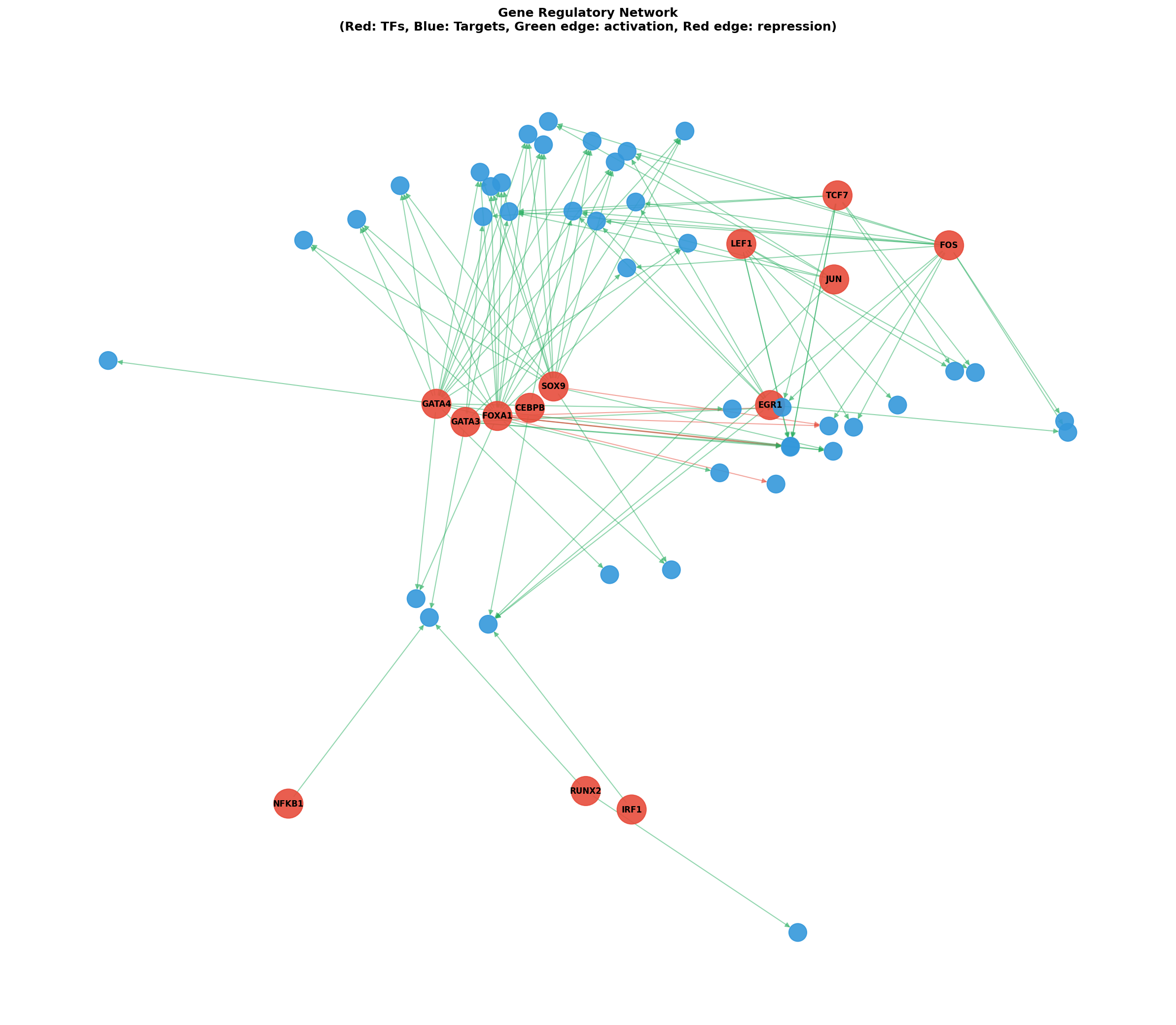 Gene Regulatory Network