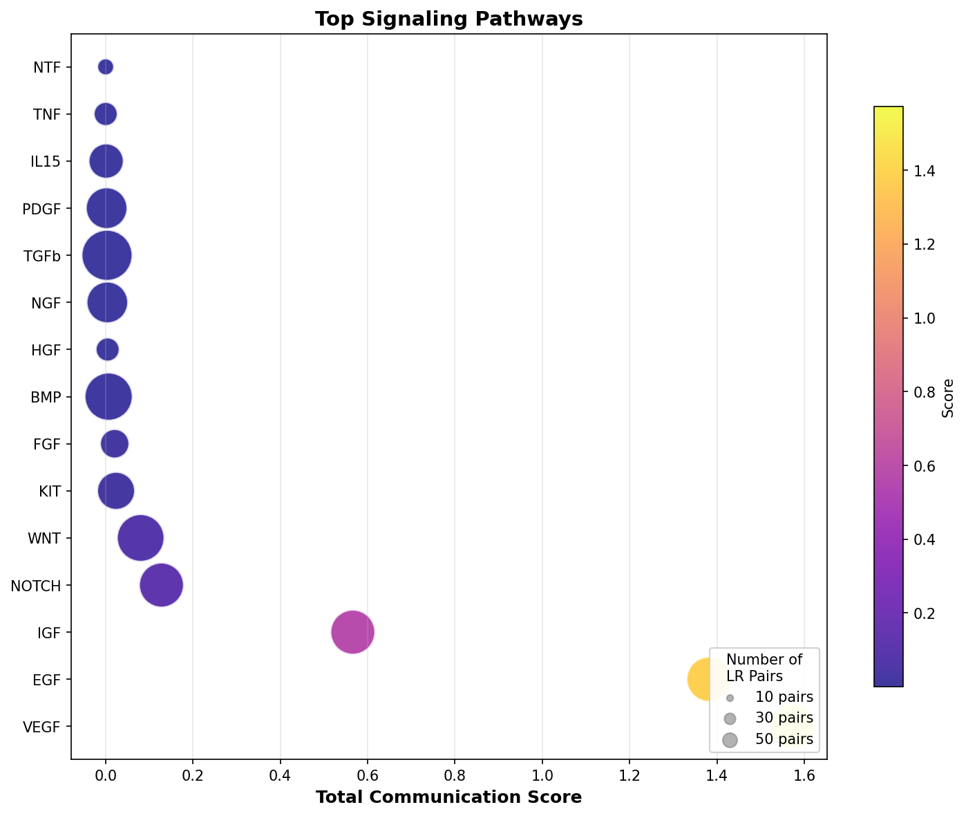 Signaling Pathway Activity