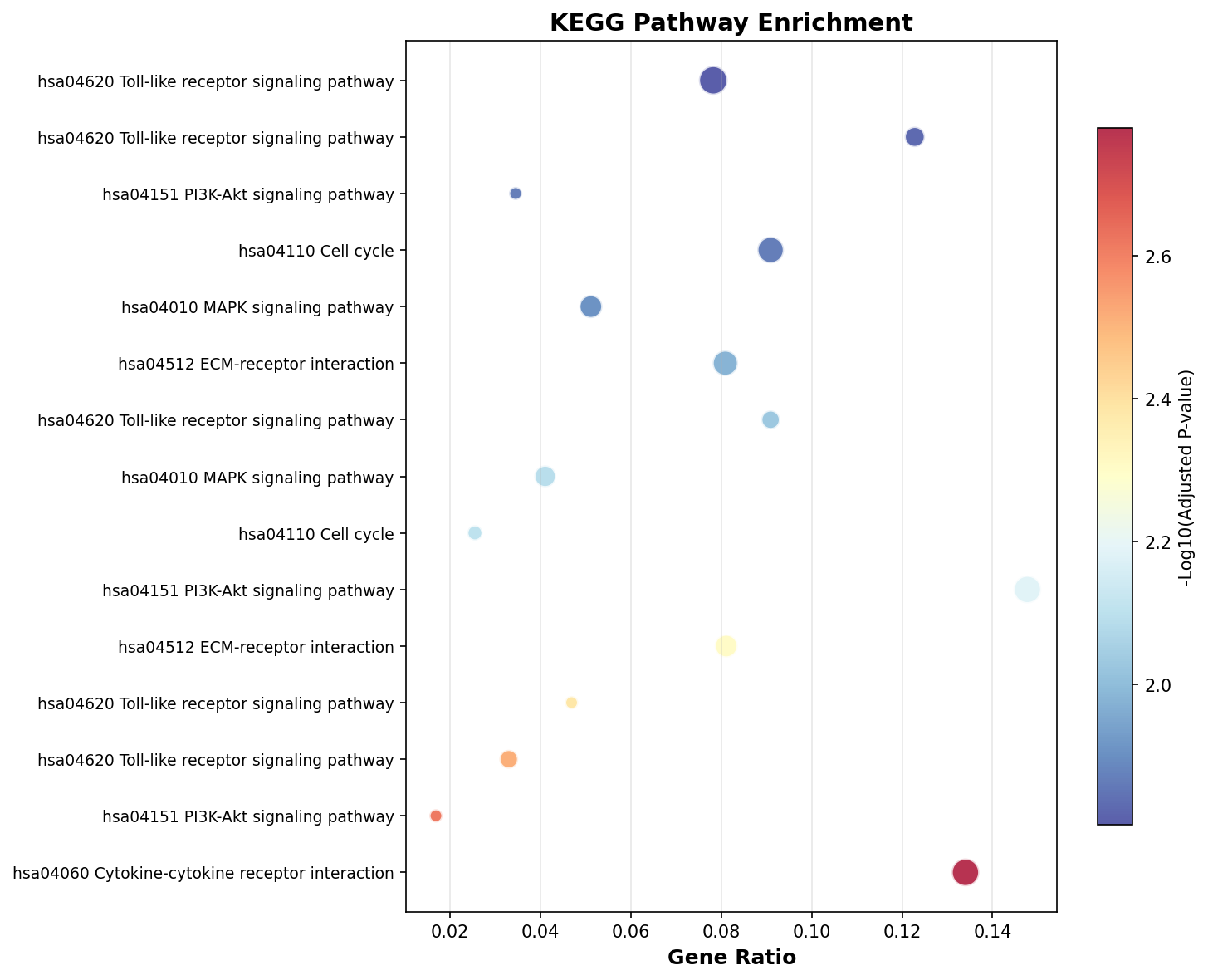 KEGG Enrichment