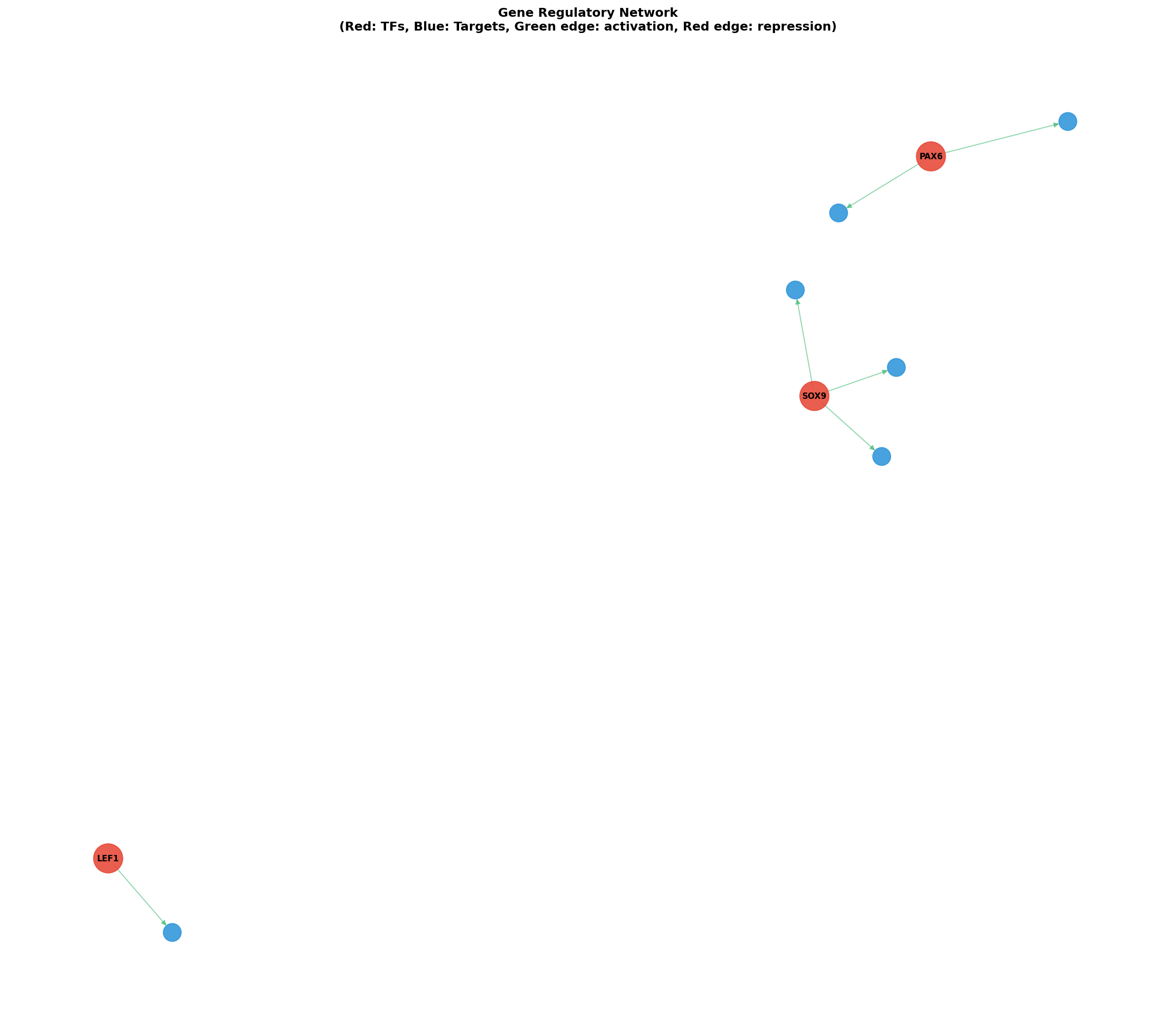 Gene Regulatory Network
