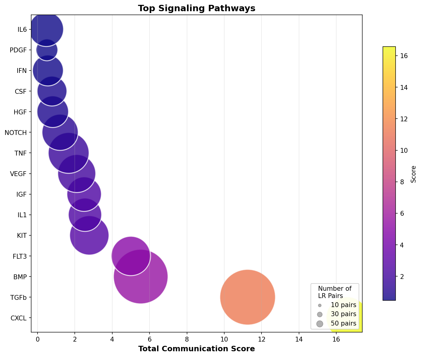 Signaling Pathway Activity