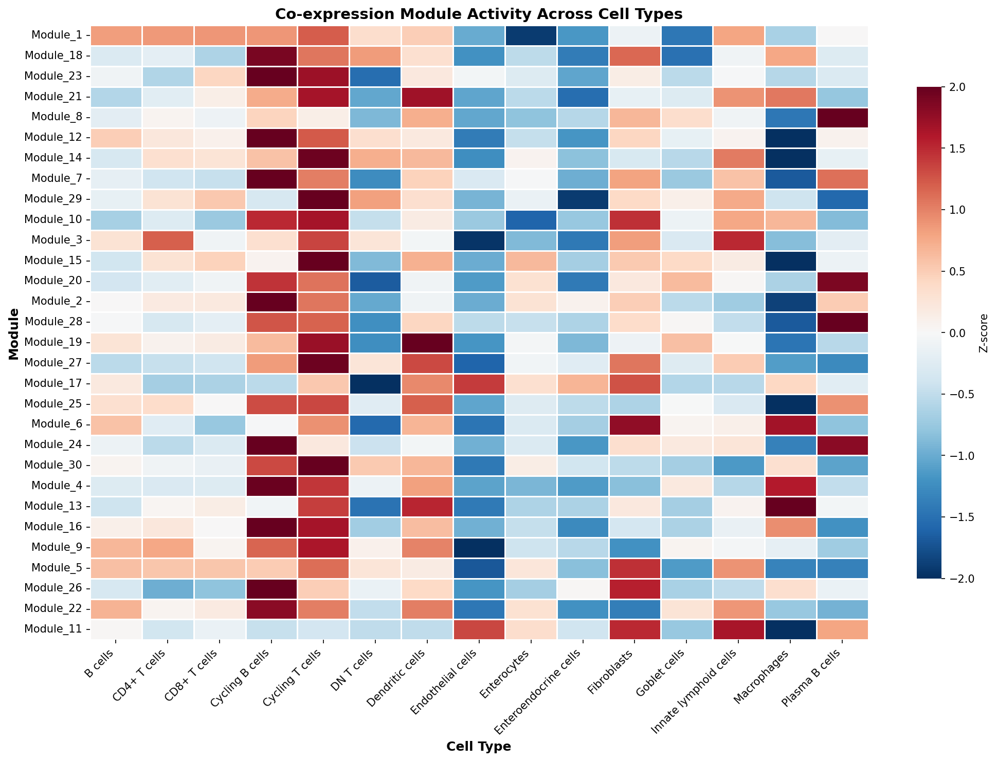 Module-Cell Type Association