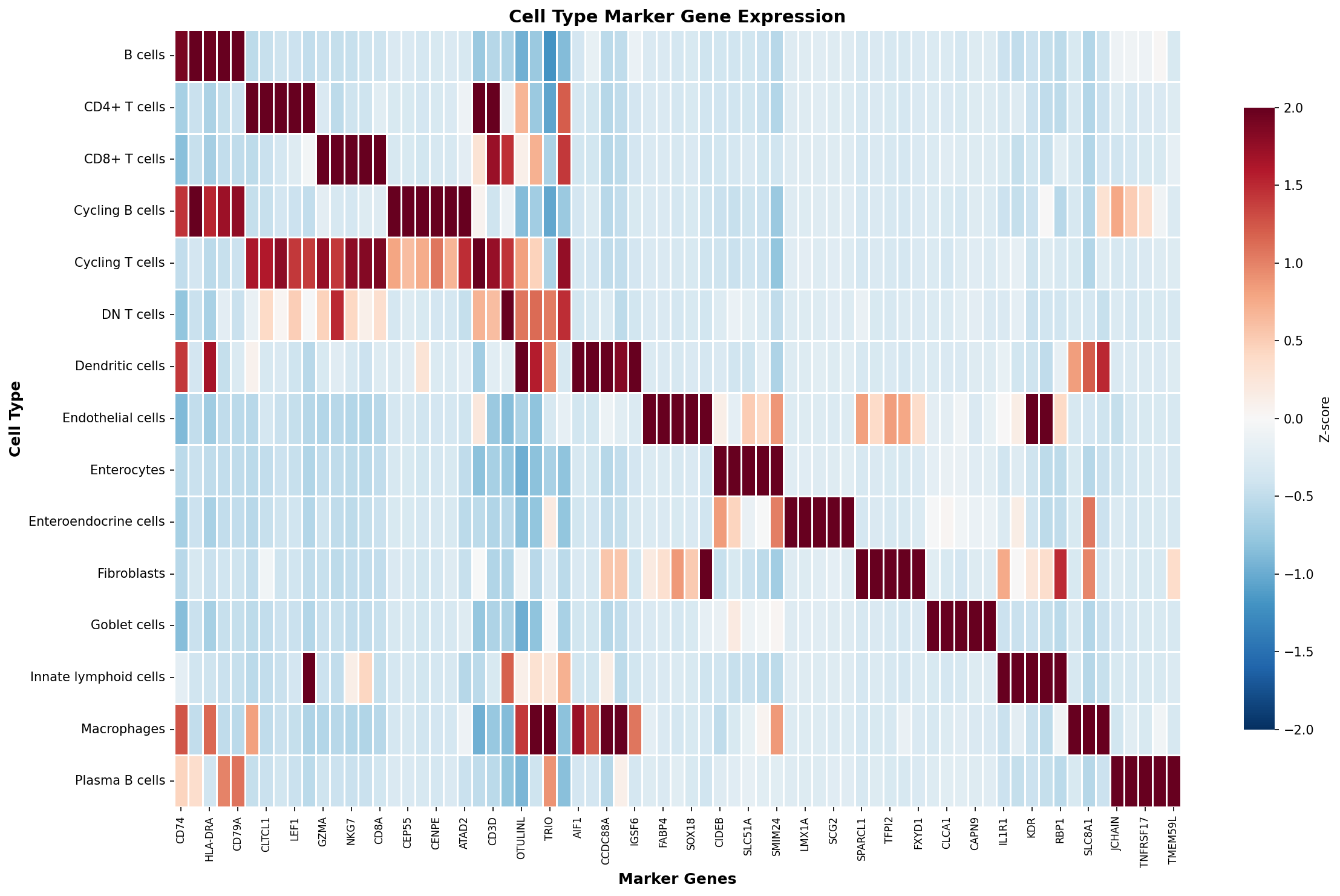 Marker Gene Heatmap