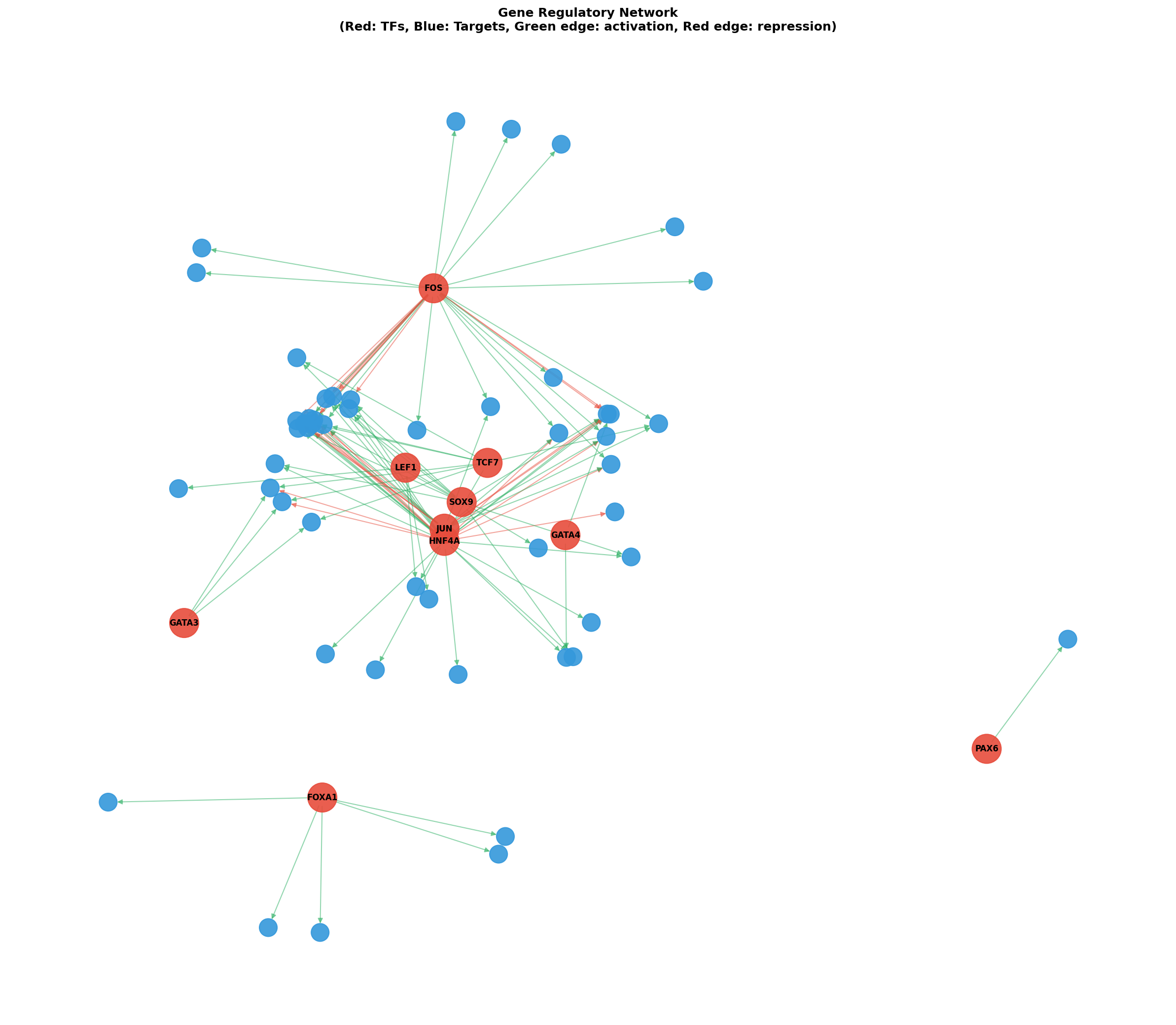 Gene Regulatory Network