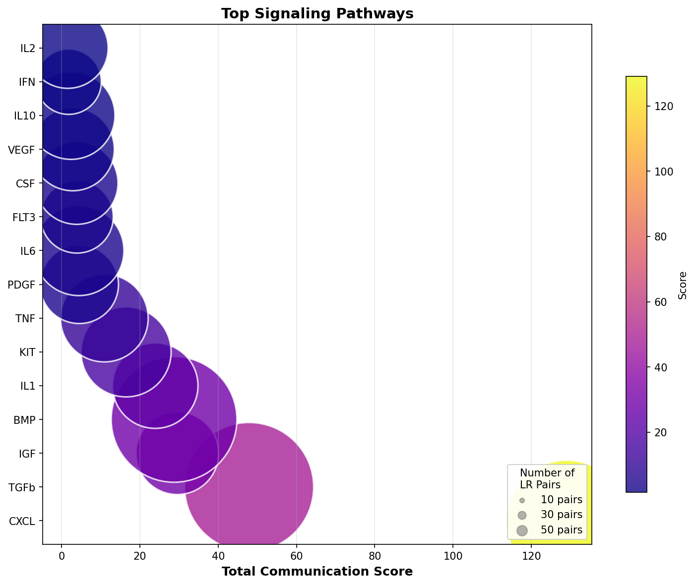 Signaling Pathway Activity
