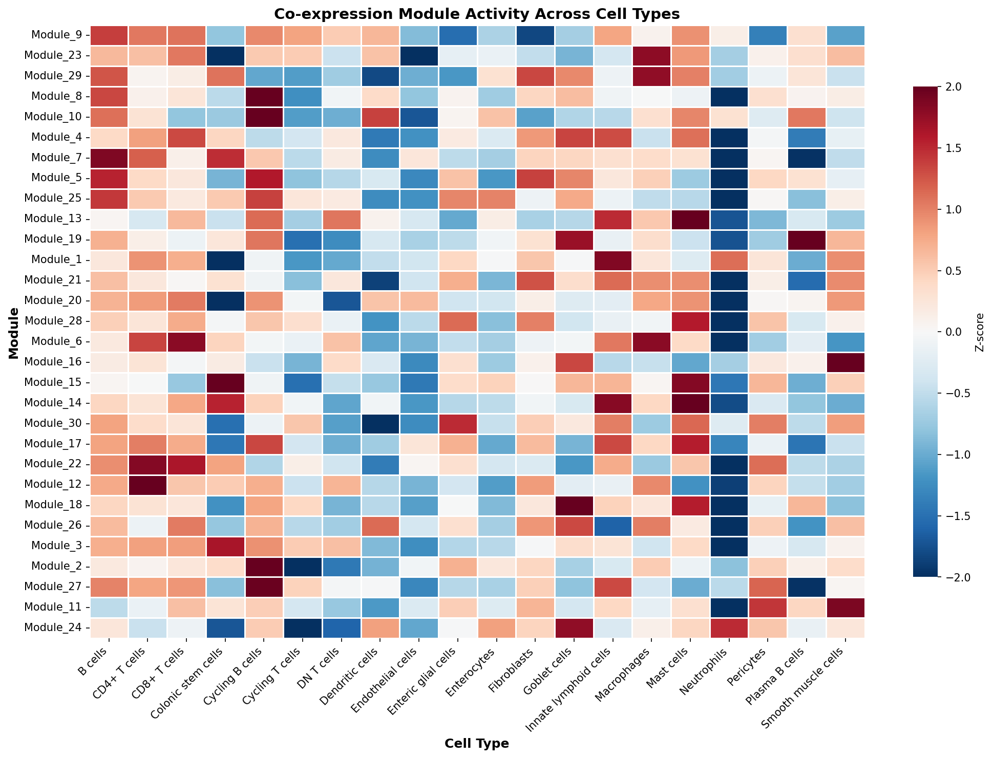 Module-Cell Type Association