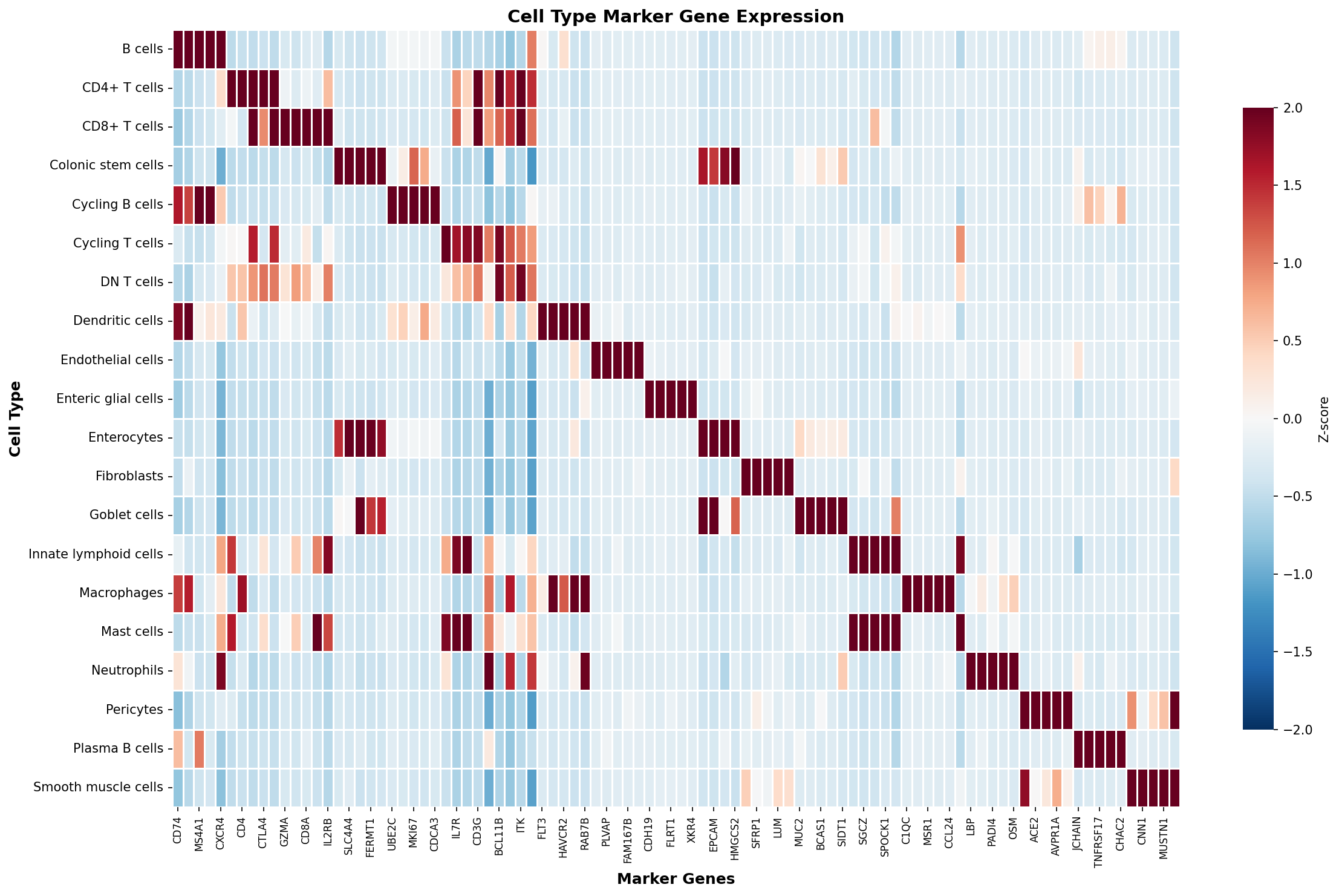 Marker Gene Heatmap