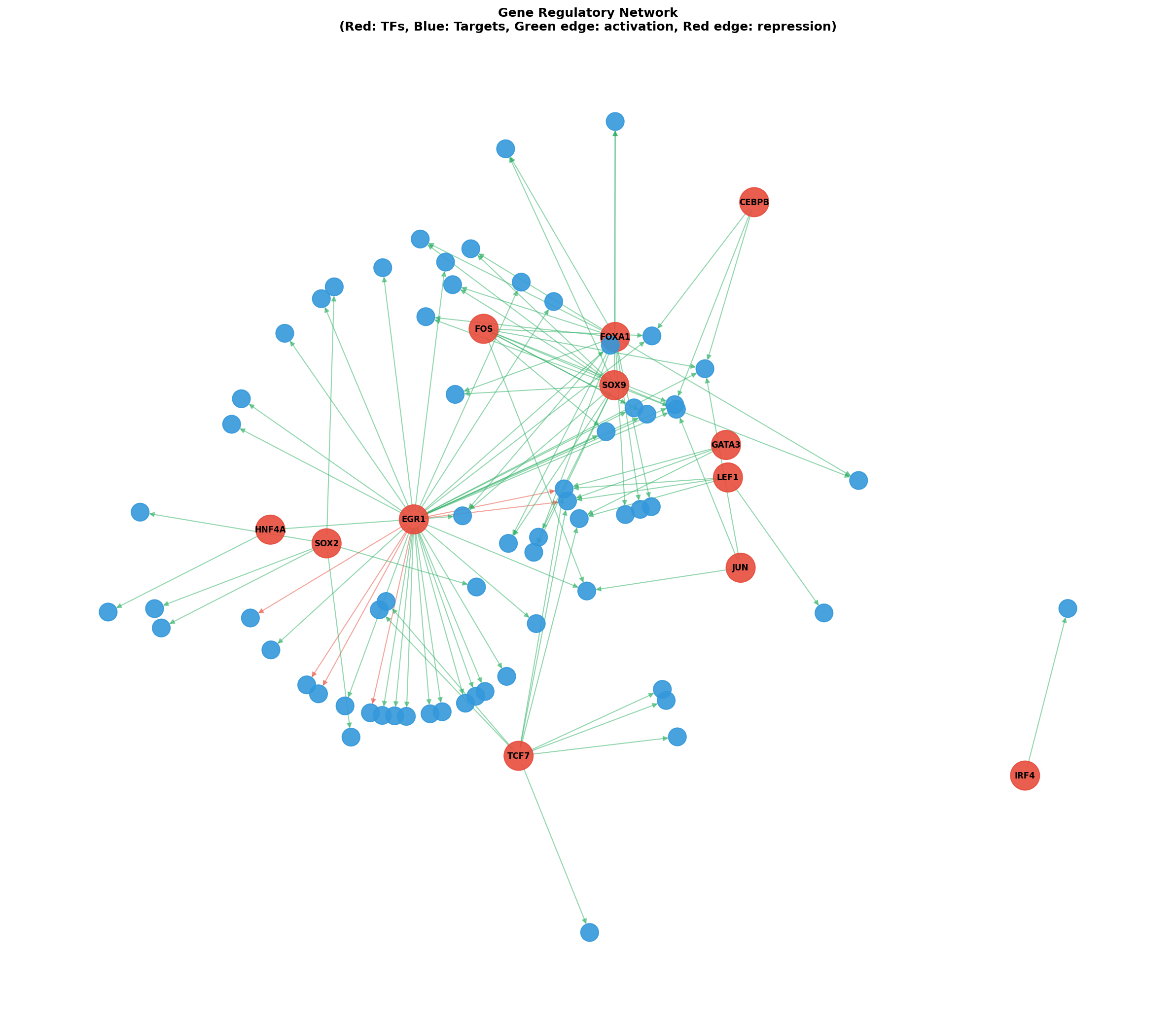 Gene Regulatory Network