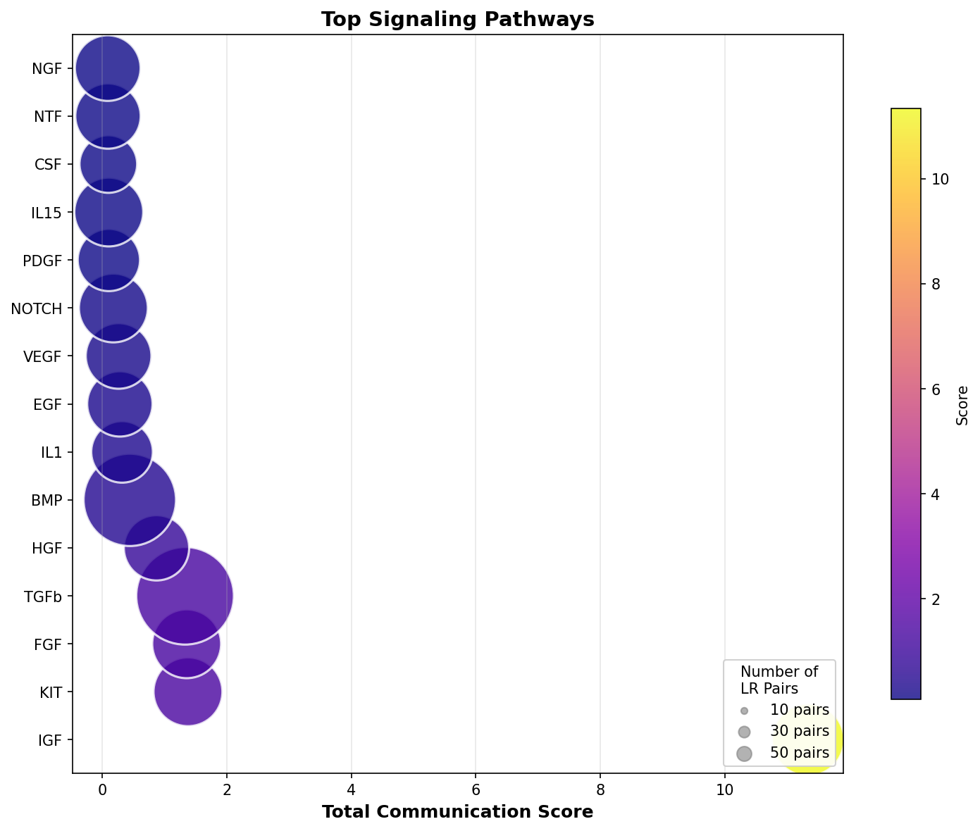 Signaling Pathway Activity
