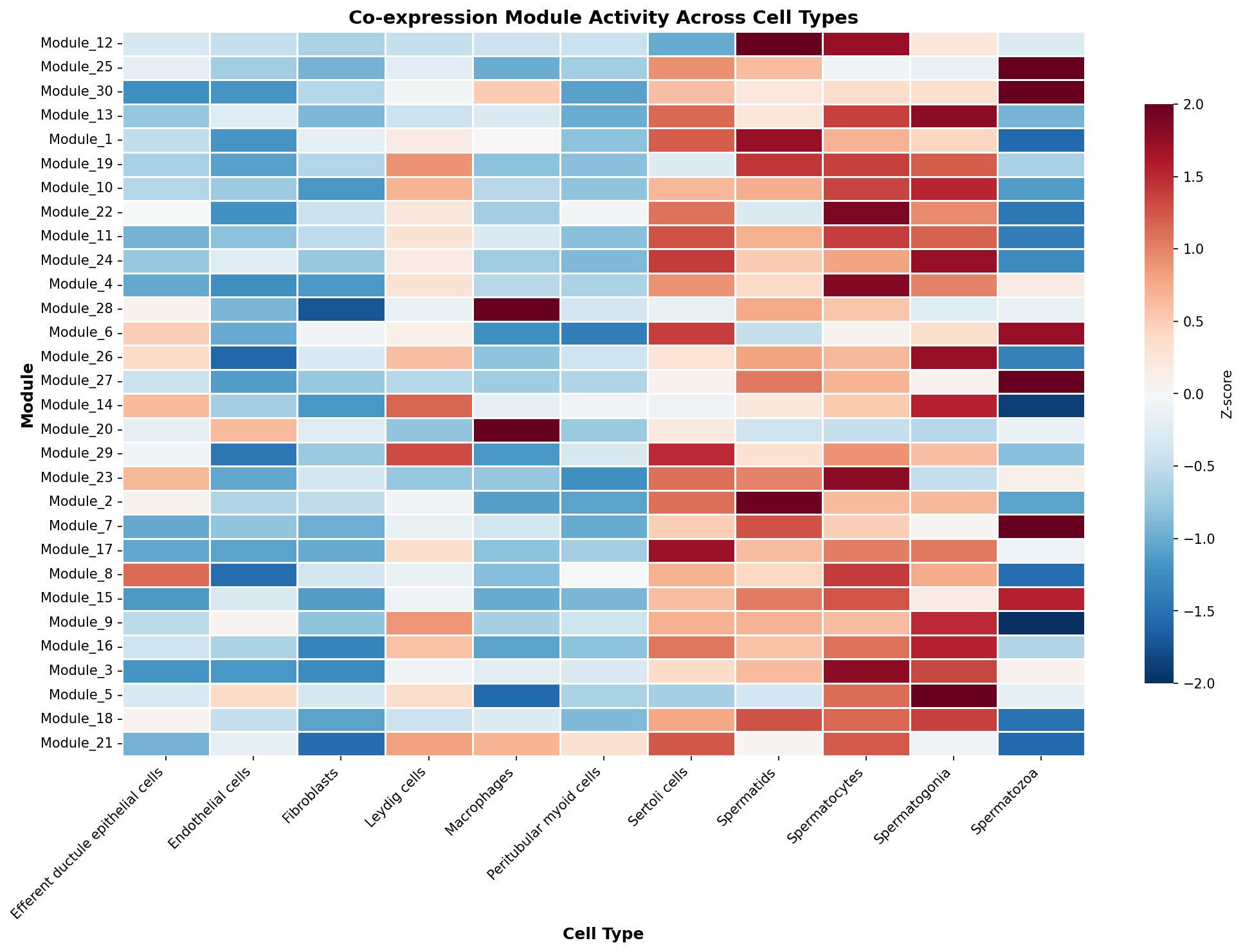 Module-Cell Type Association