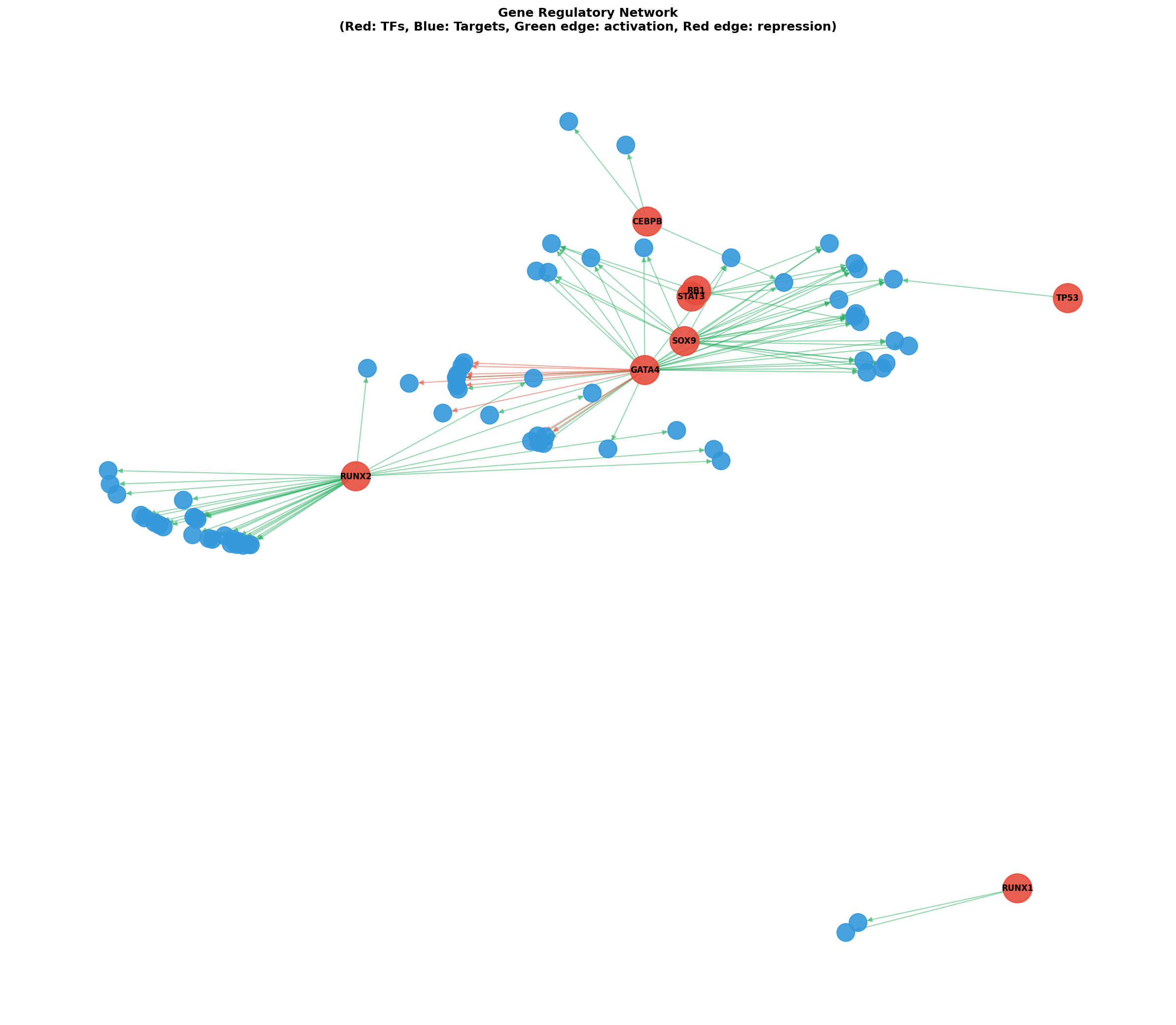Gene Regulatory Network