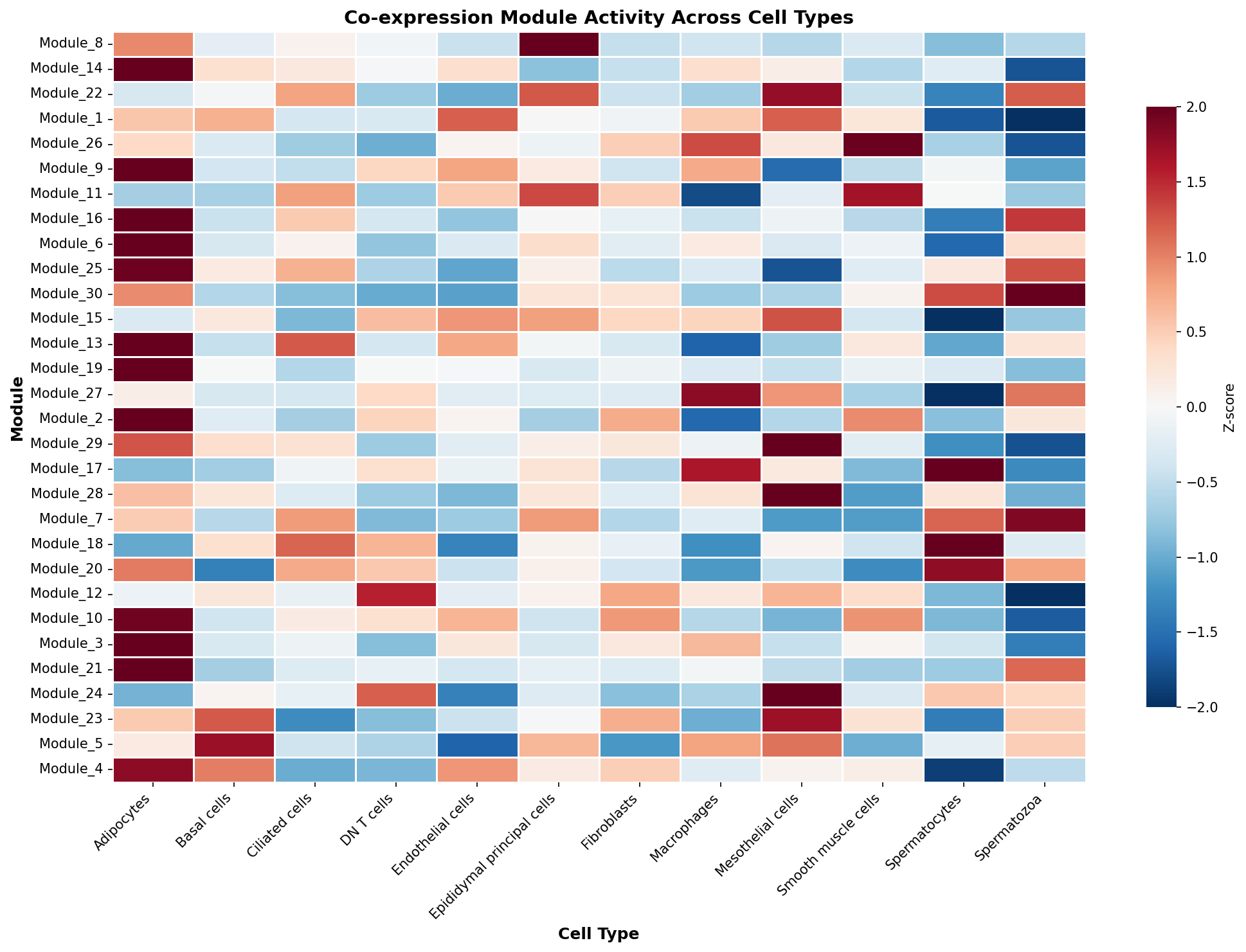 Module-Cell Type Association