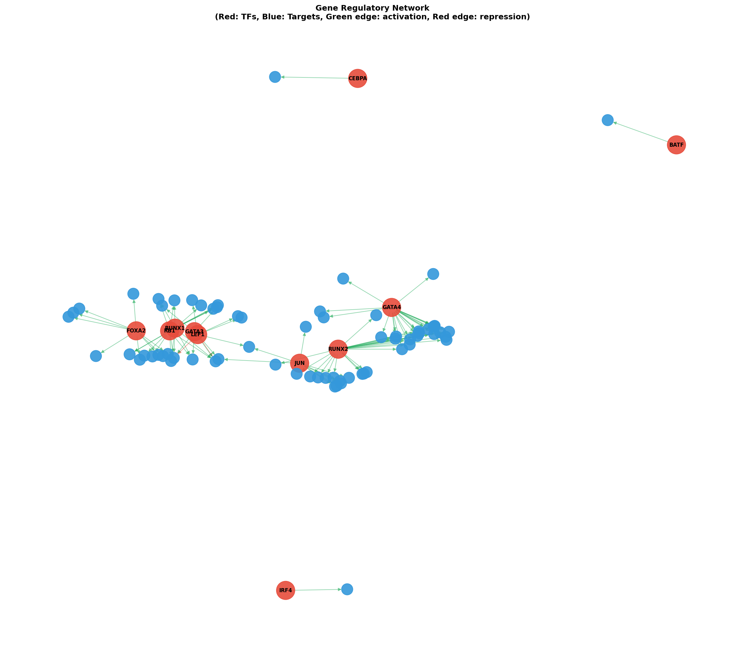 Gene Regulatory Network