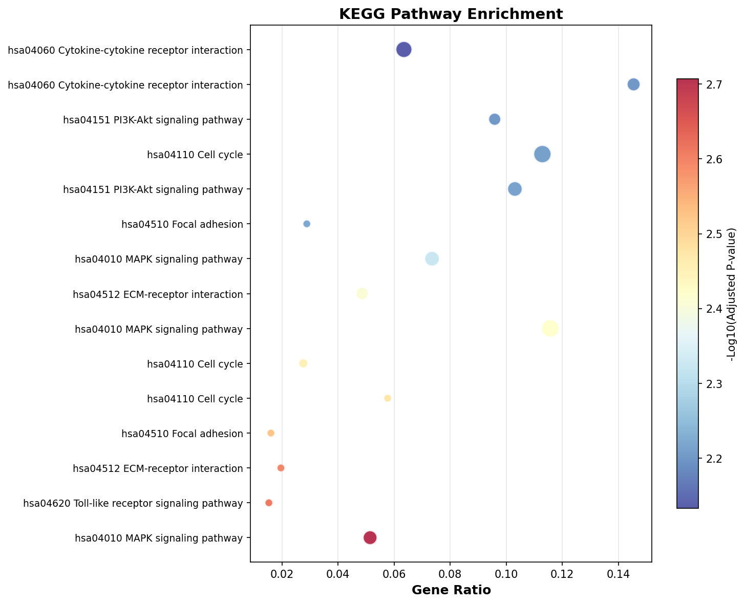 KEGG Enrichment
