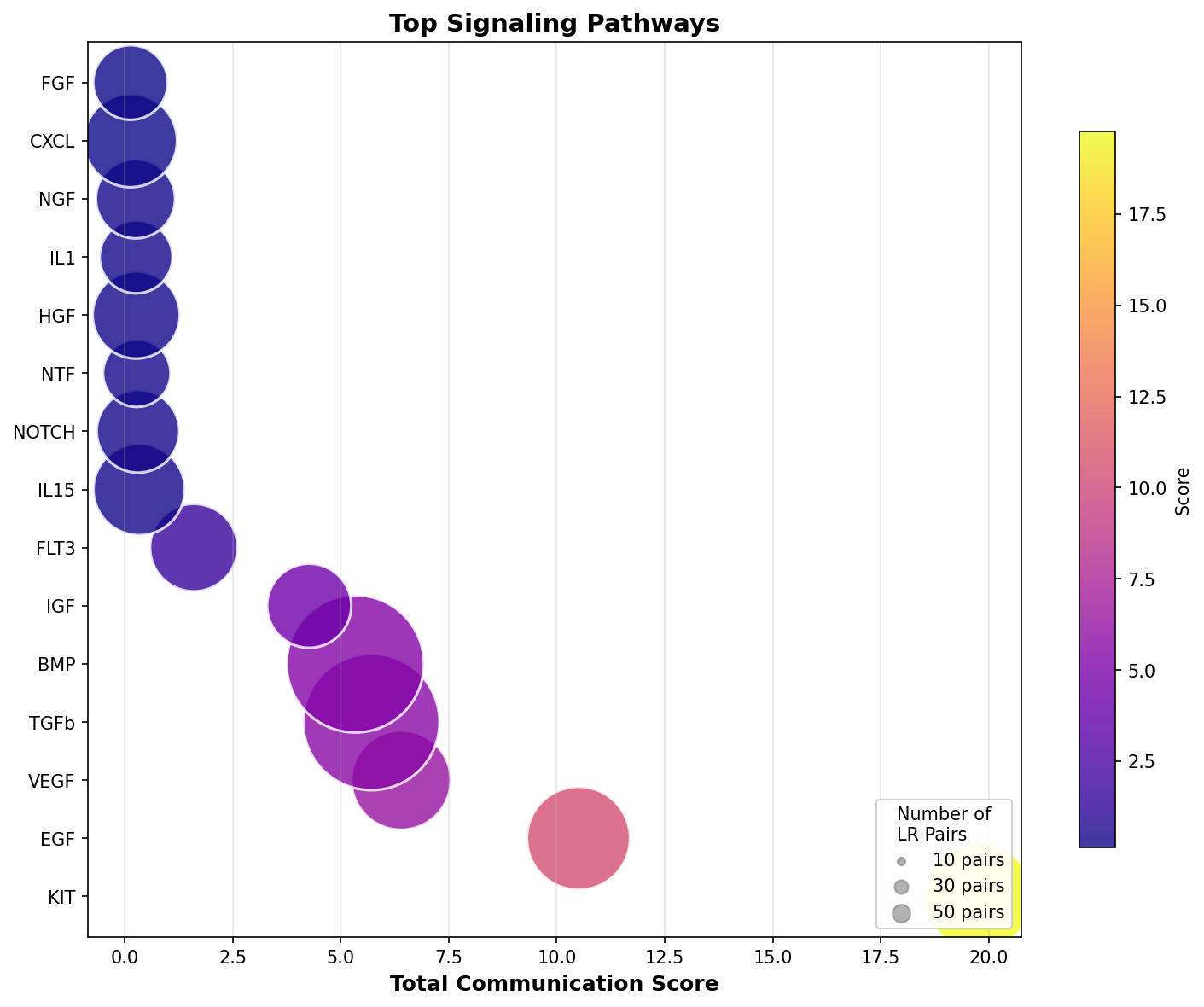 Signaling Pathway Activity