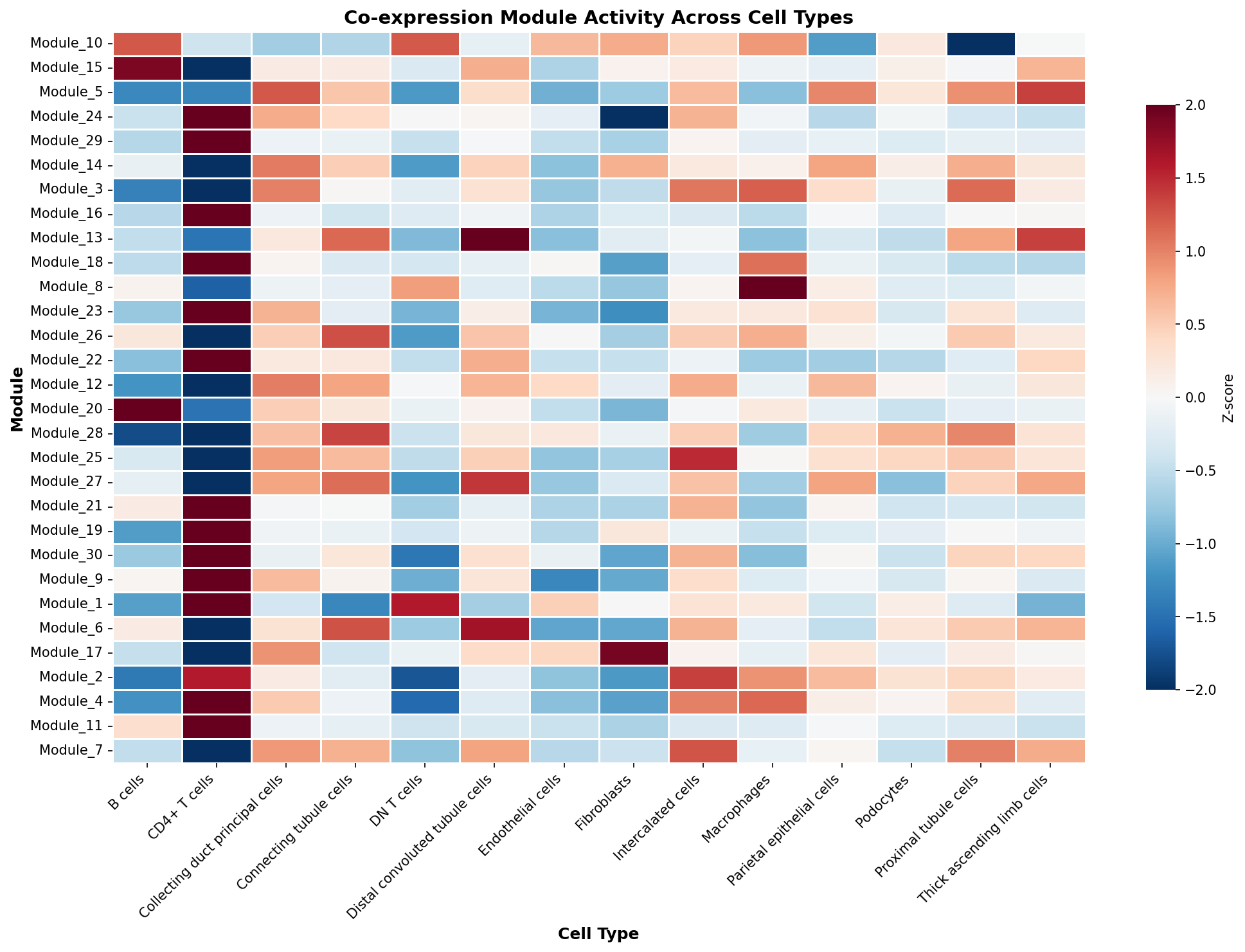 Module-Cell Type Association