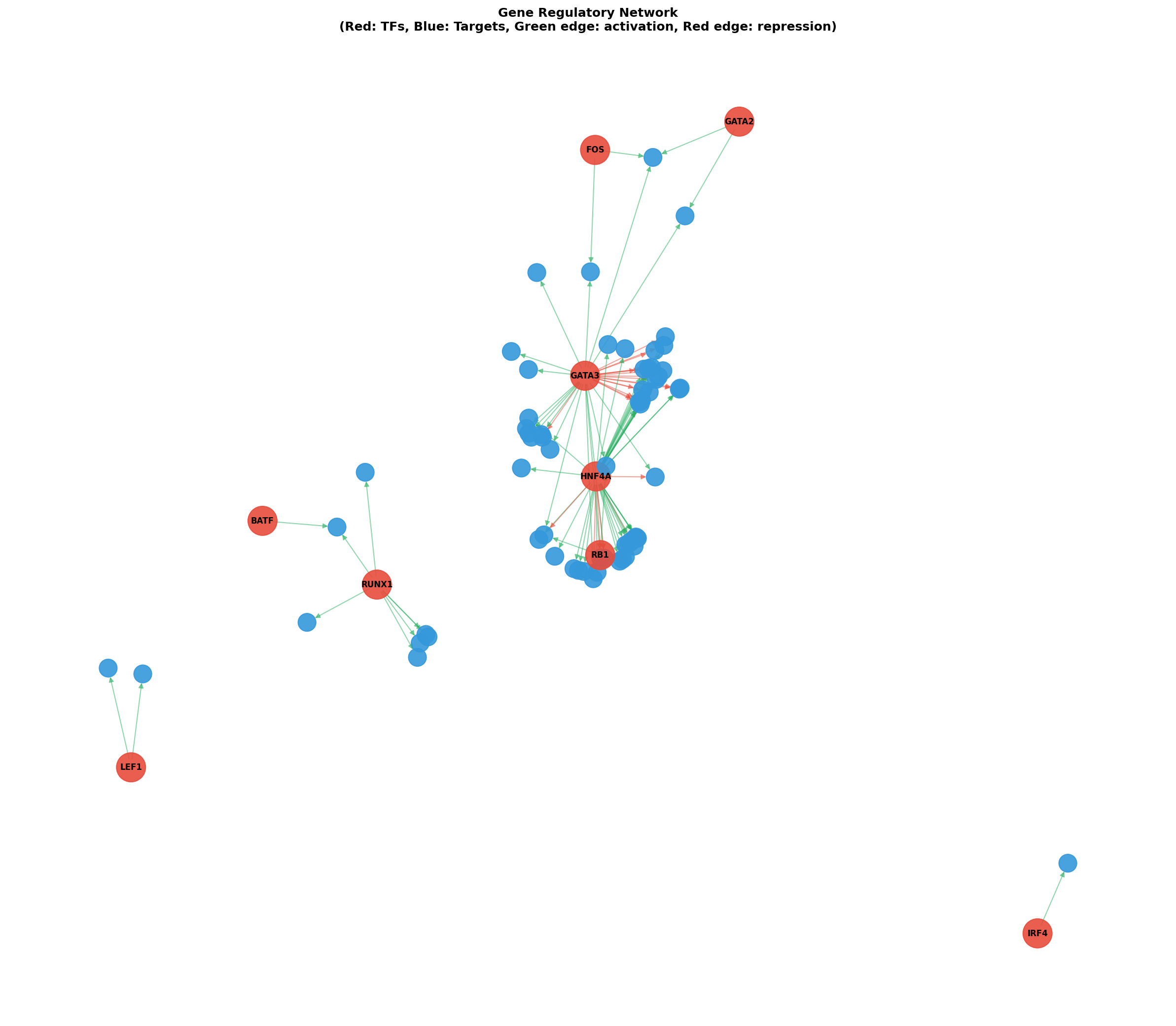 Gene Regulatory Network