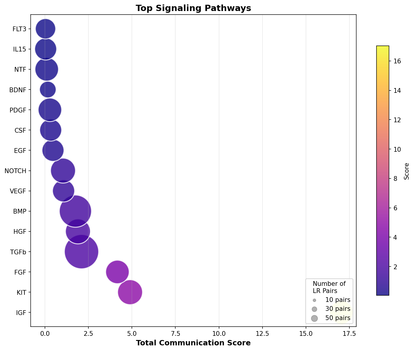 Signaling Pathway Activity