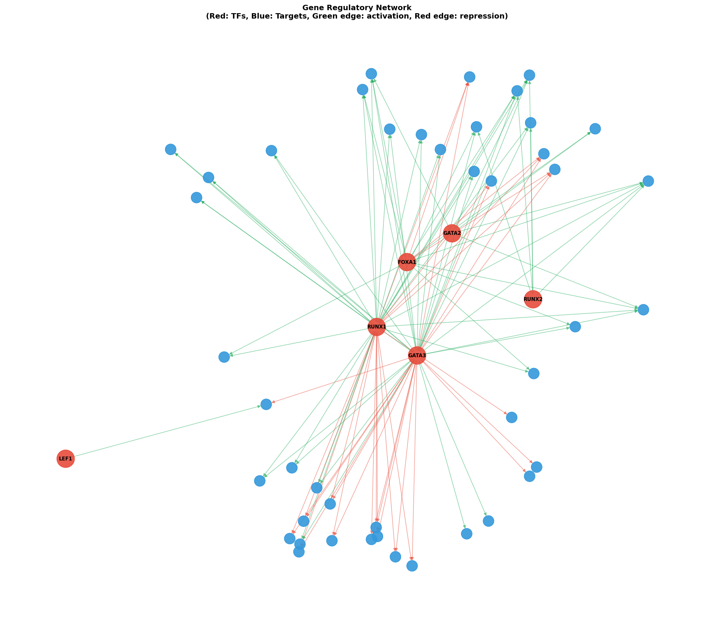 Gene Regulatory Network