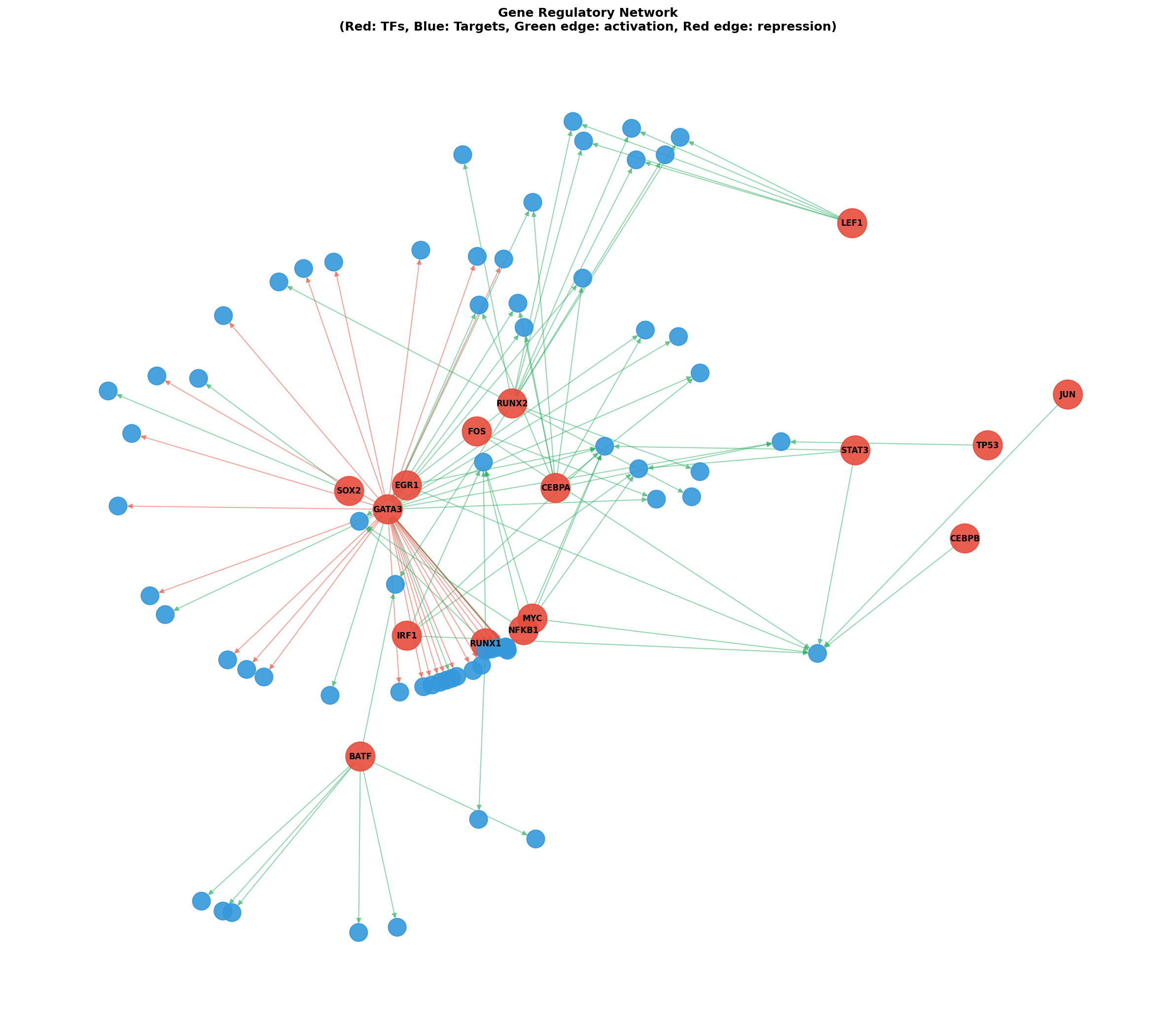 Gene Regulatory Network