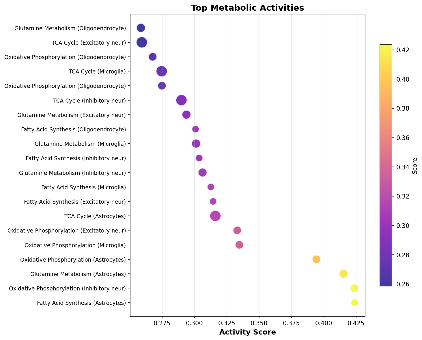 Top Metabolic Activities