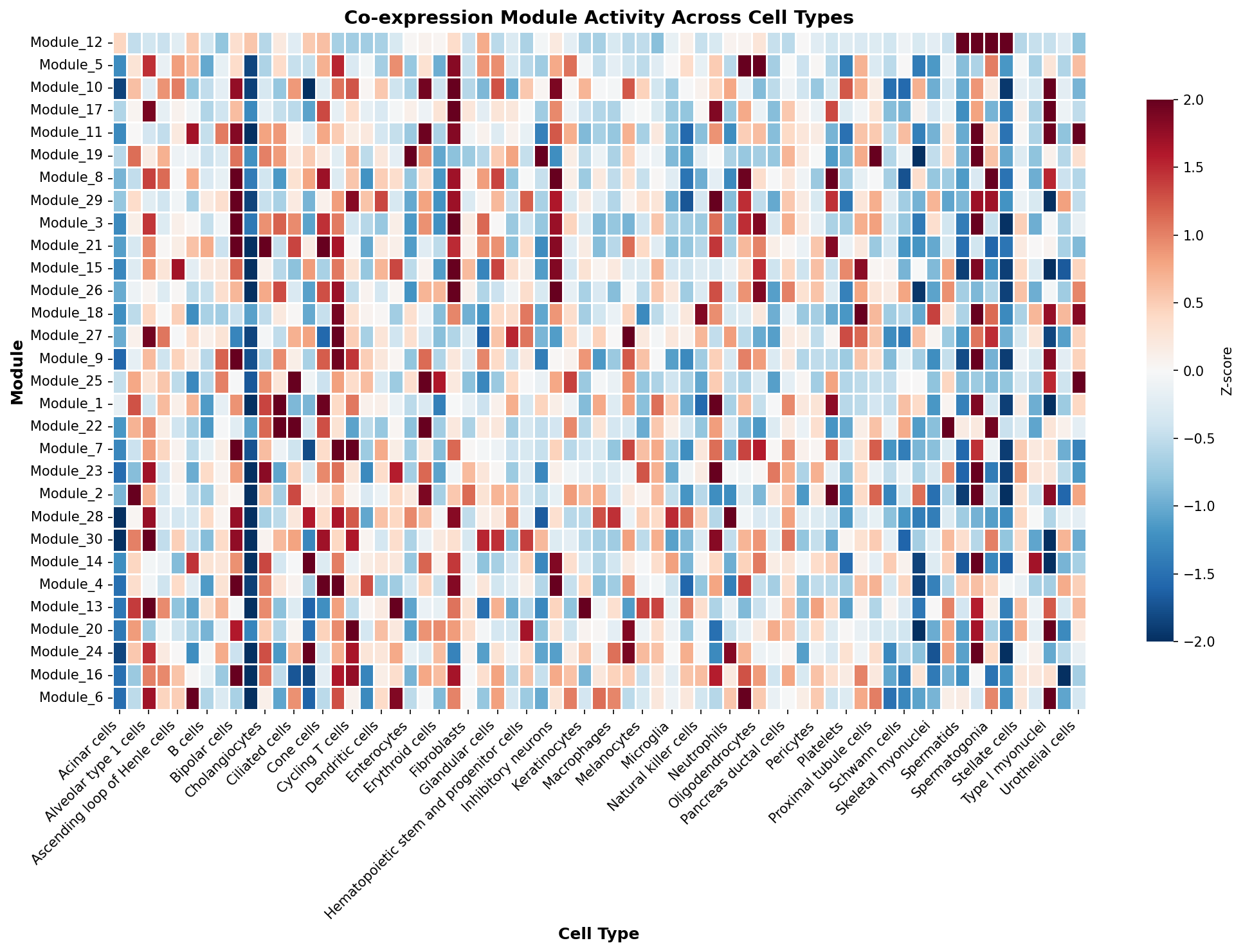 Module-Cell Type Association