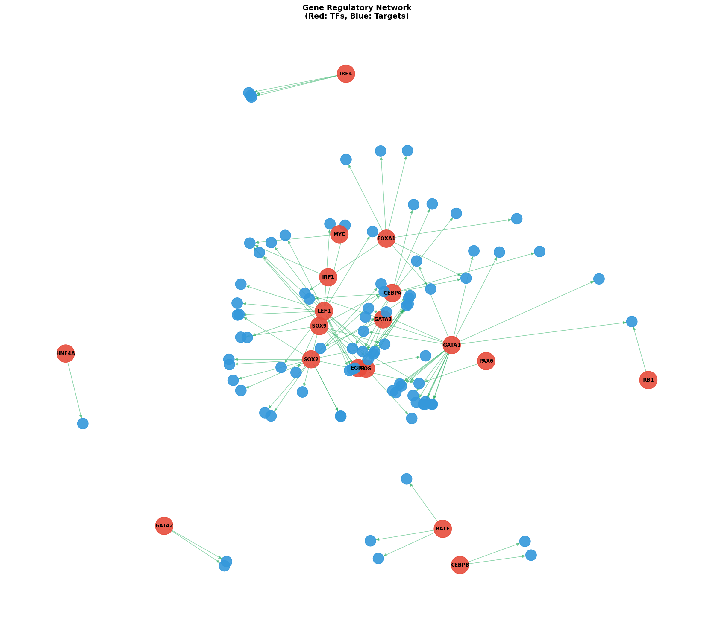 Exploratory TF-Target Association Network