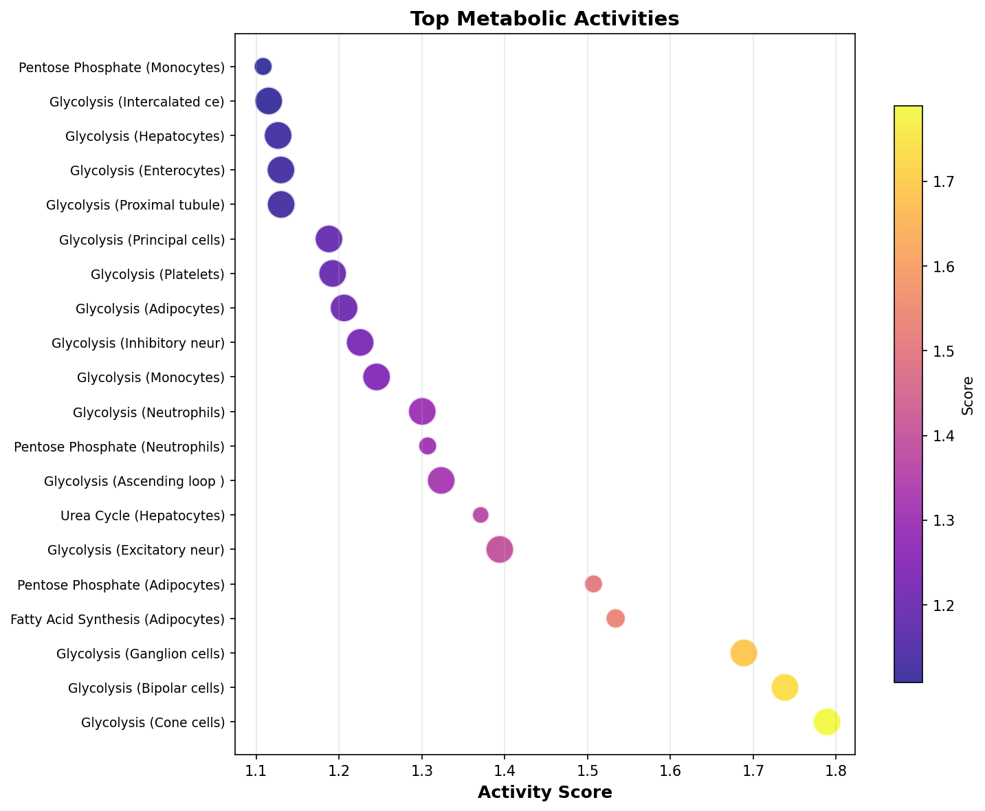 Top Metabolic Activities