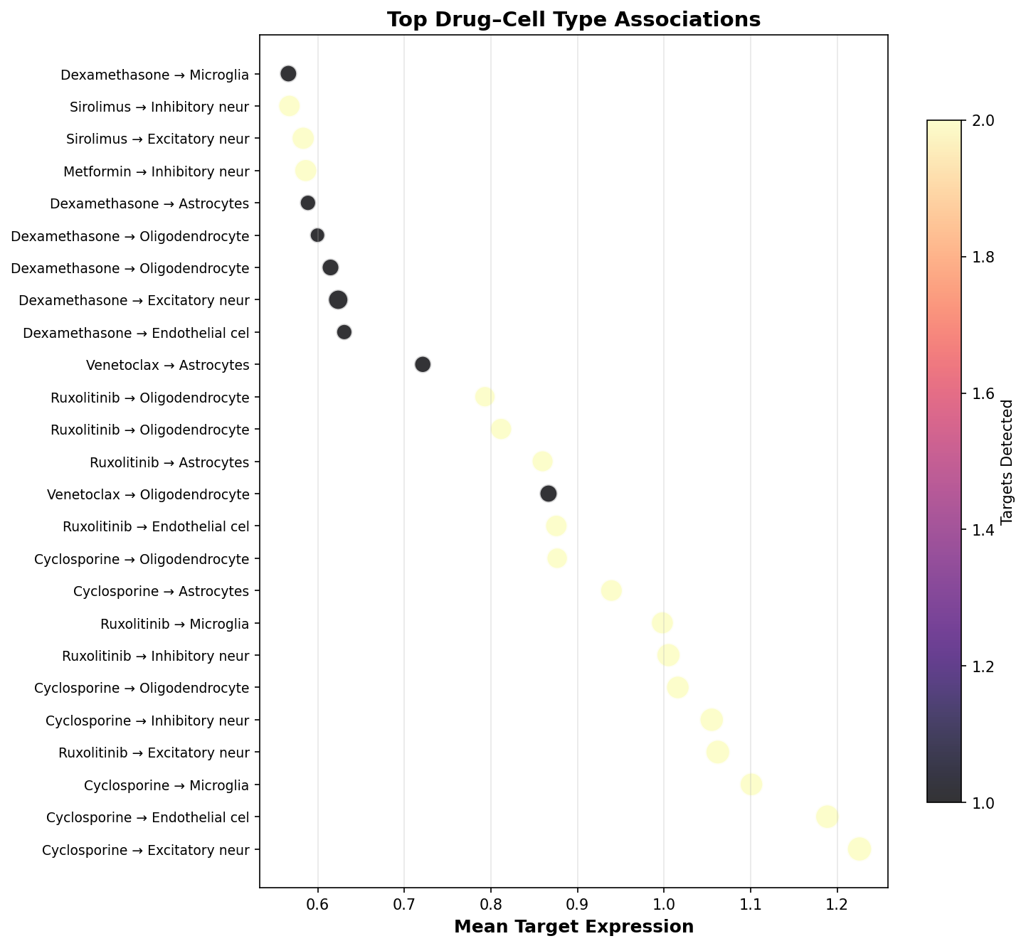 Top Drug–Cell Type Associations