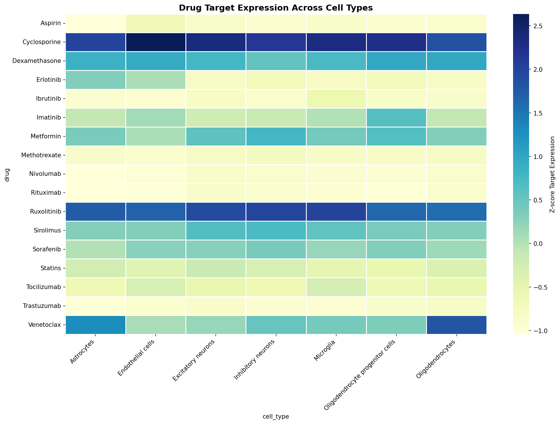 Drug Target Expression Heatmap