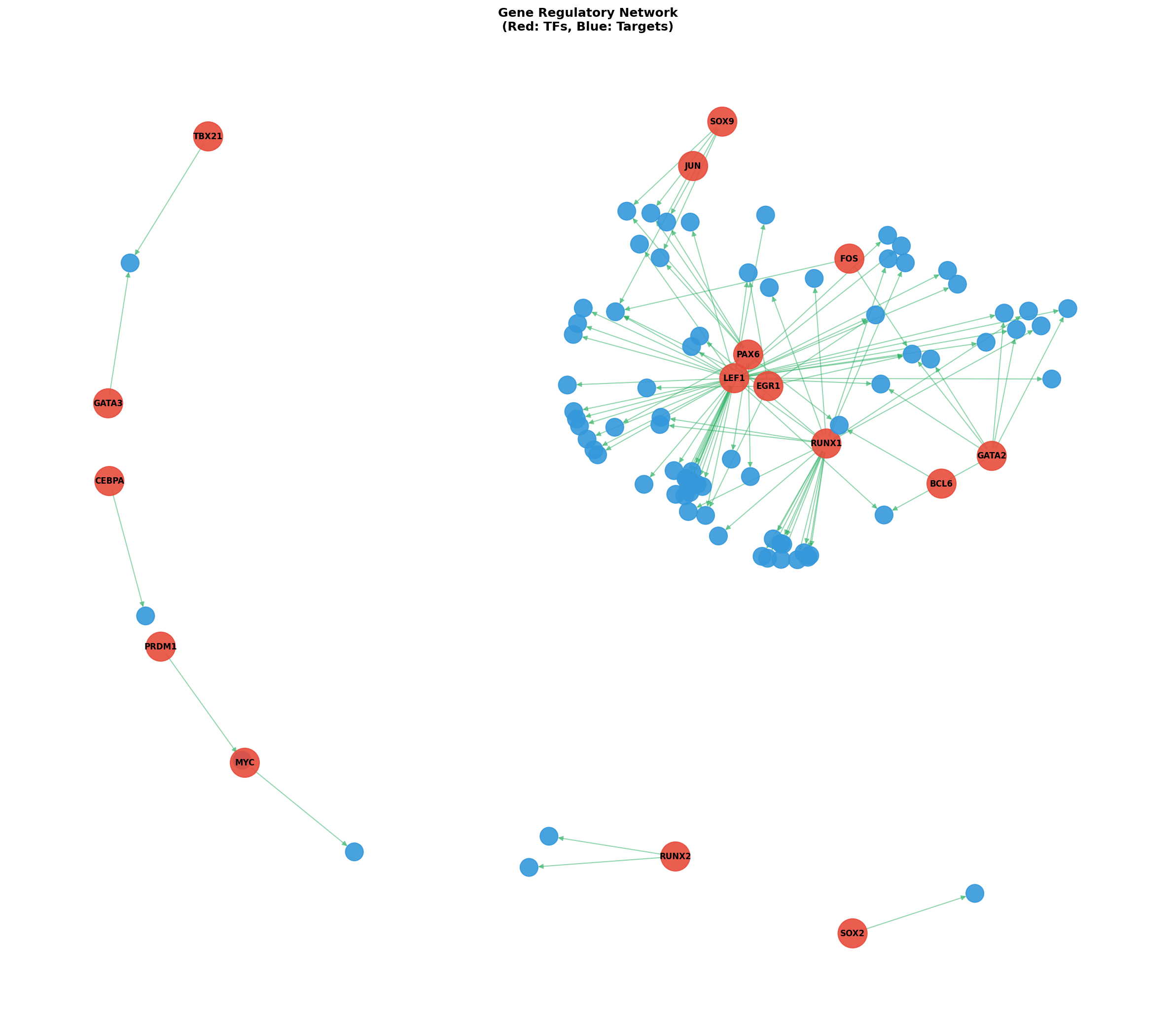 Exploratory TF-Target Association Network