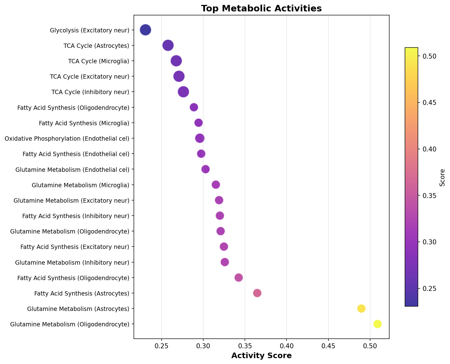 Top Metabolic Activities