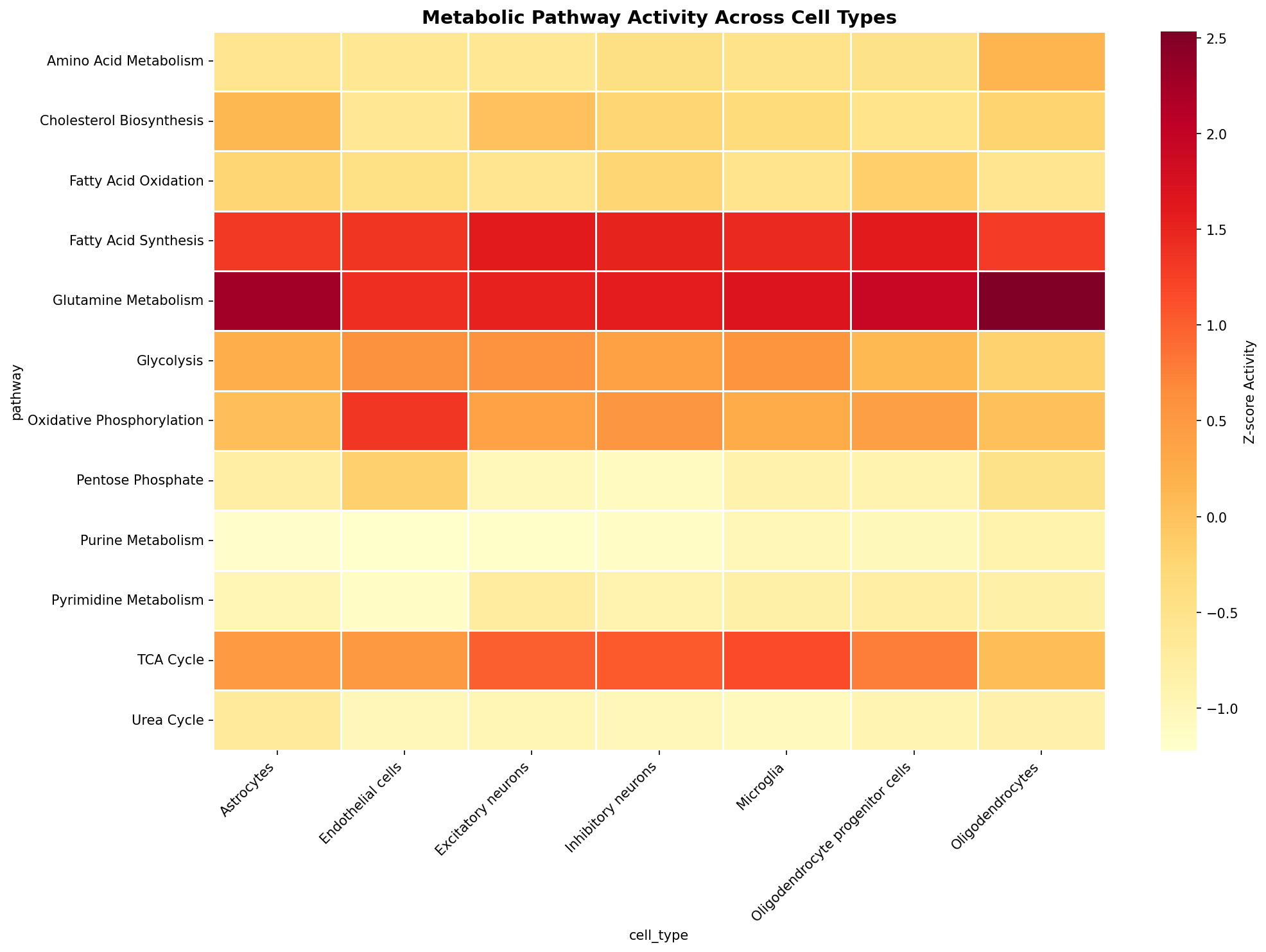 Metabolic Pathway Heatmap