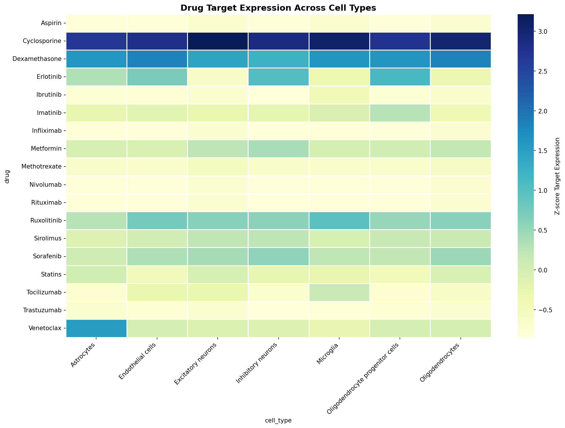 Drug Target Expression Heatmap