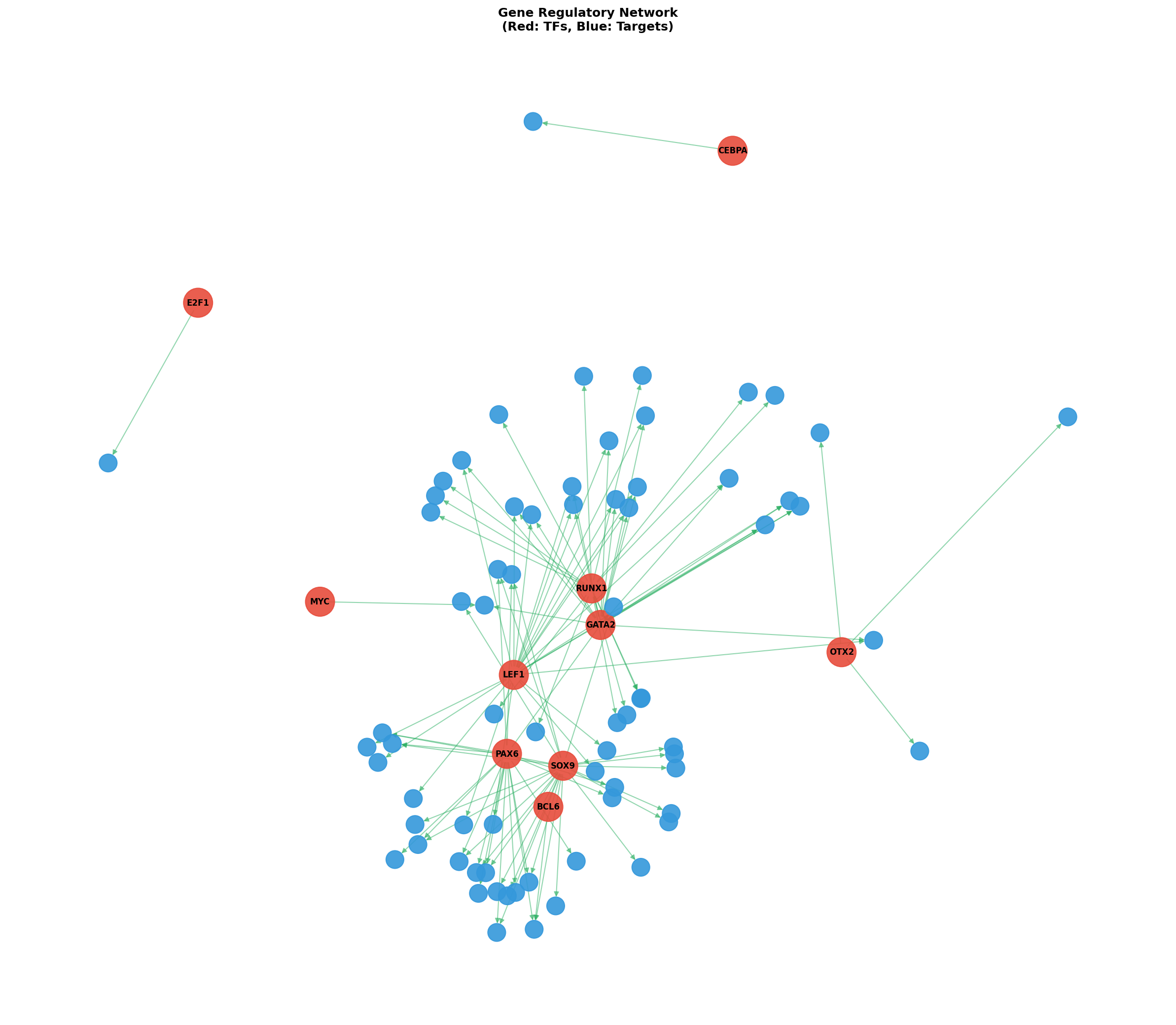 Exploratory TF-Target Association Network