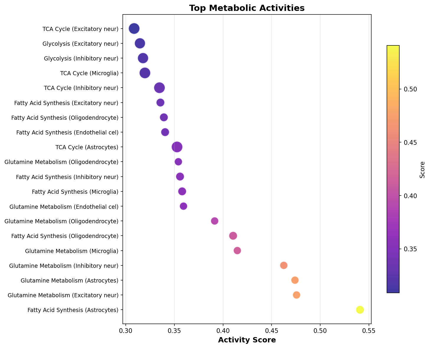 Top Metabolic Activities