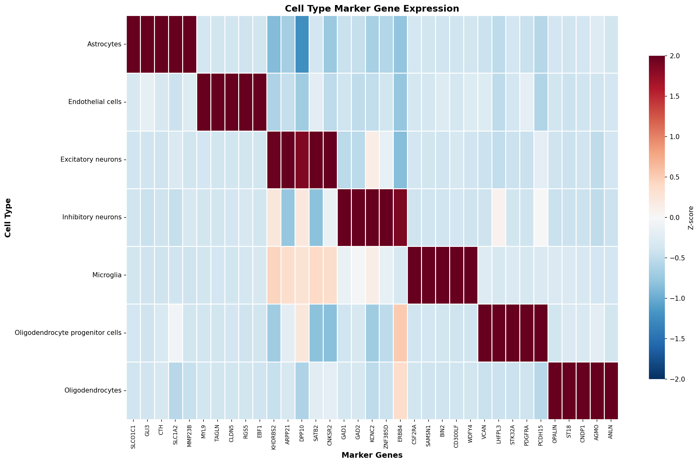 Marker Gene Heatmap