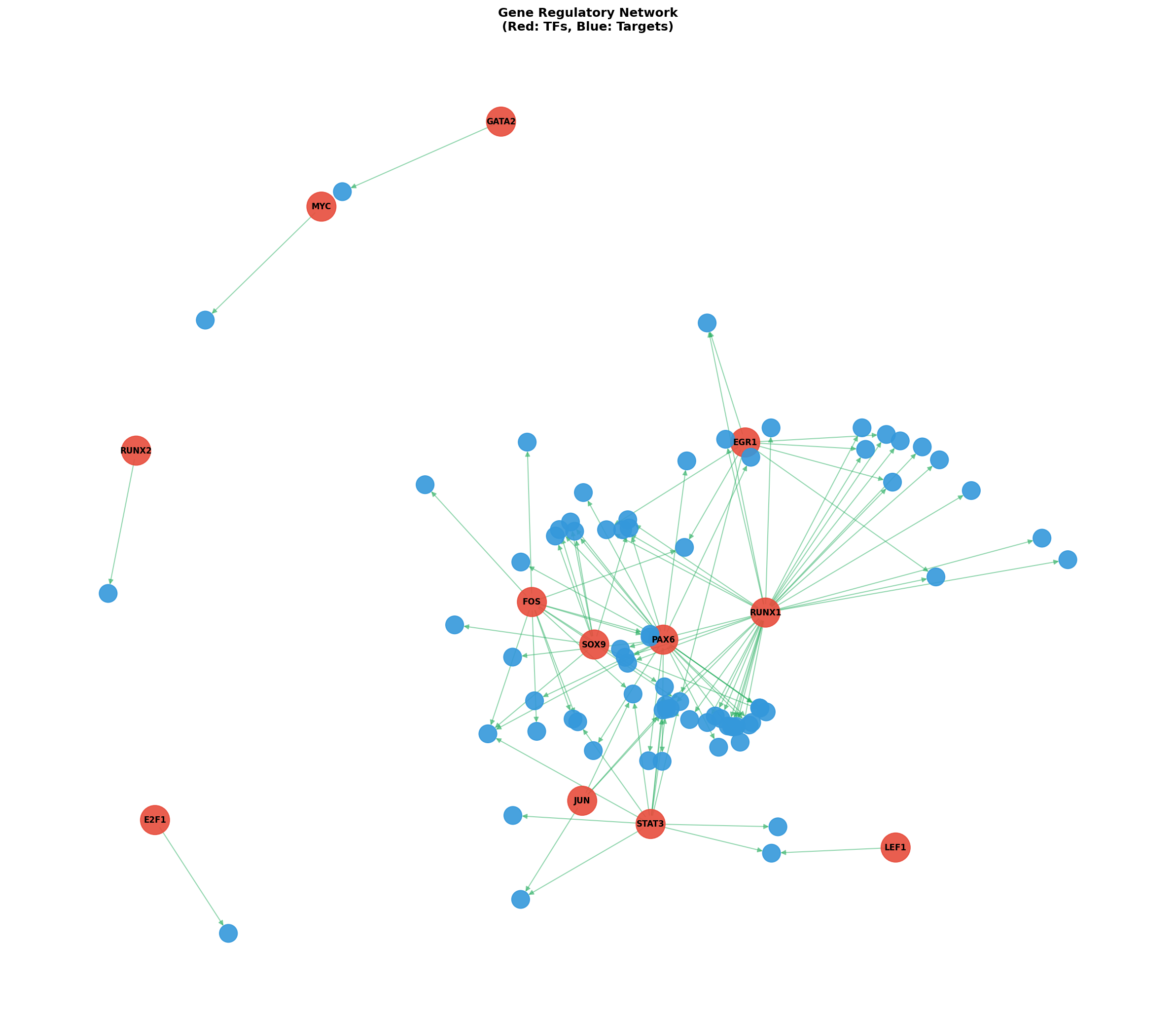 Exploratory TF-Target Association Network