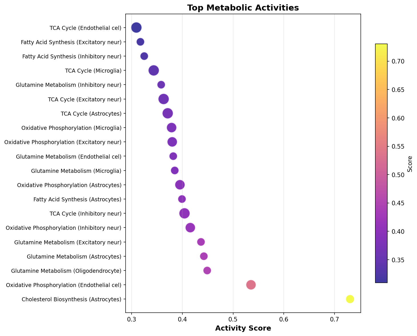 Top Metabolic Activities
