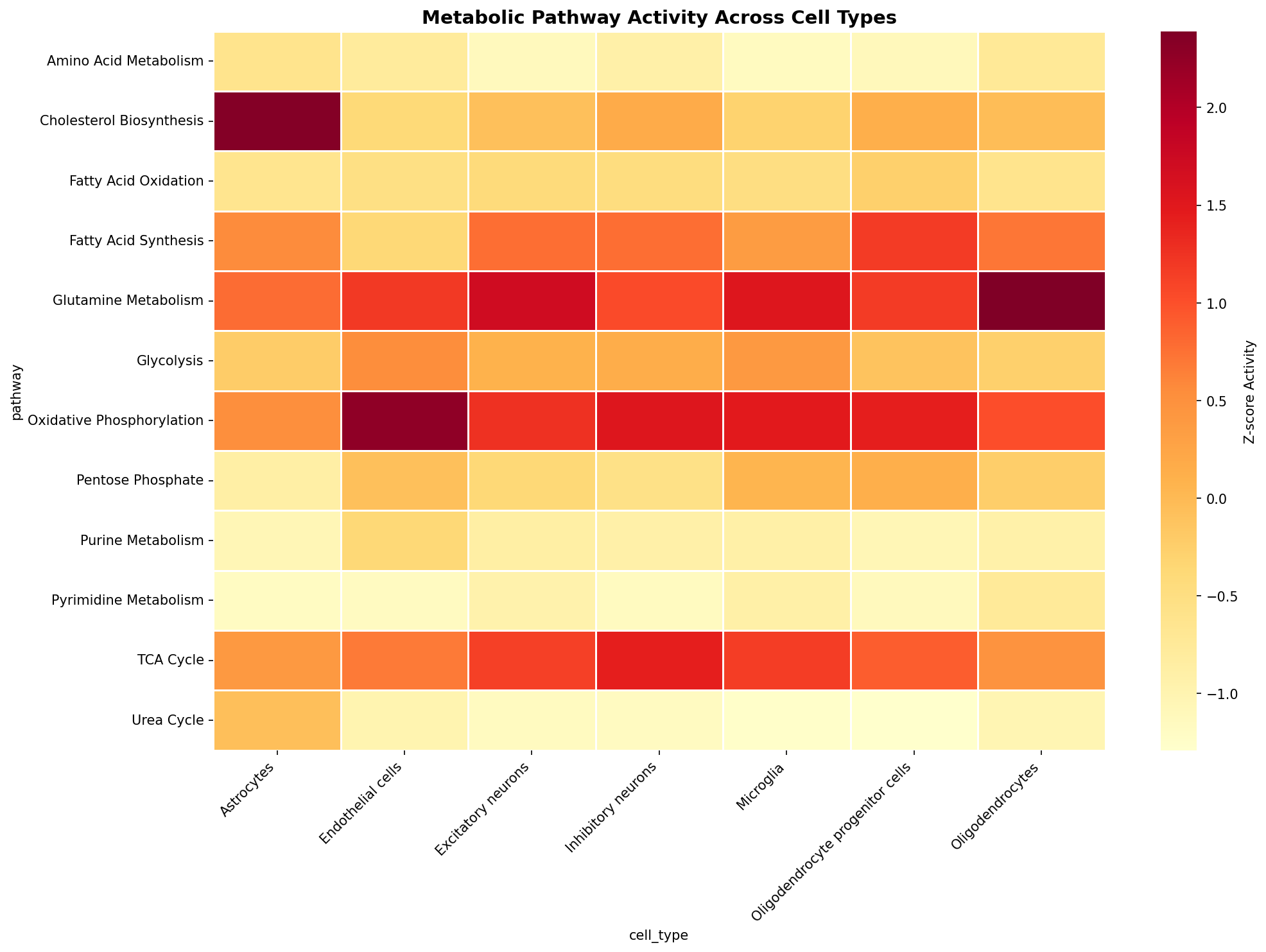 Metabolic Pathway Heatmap