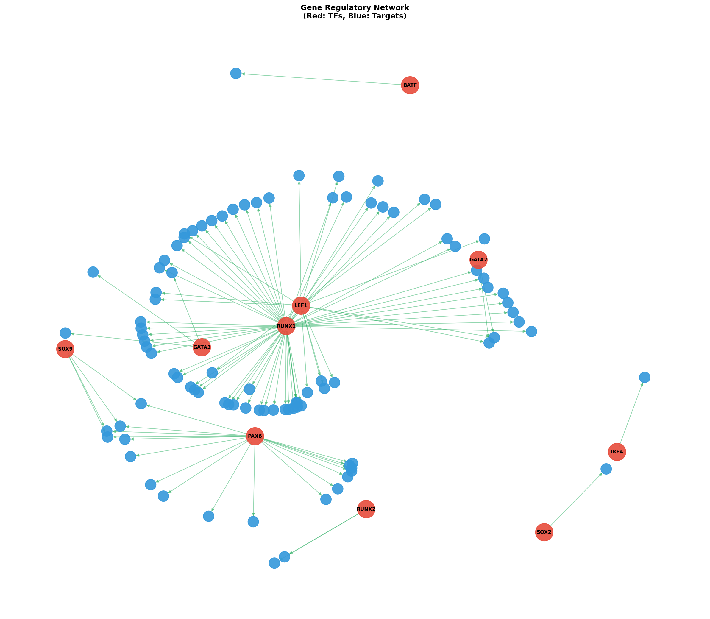 Exploratory TF-Target Association Network