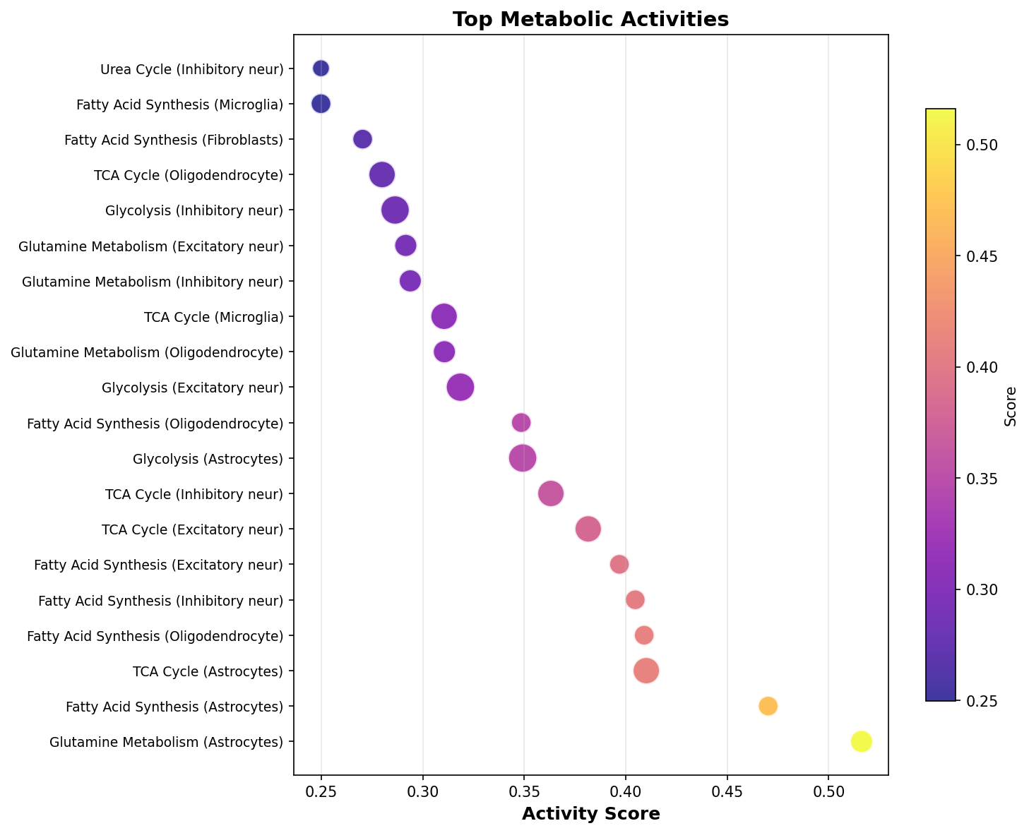Top Metabolic Activities