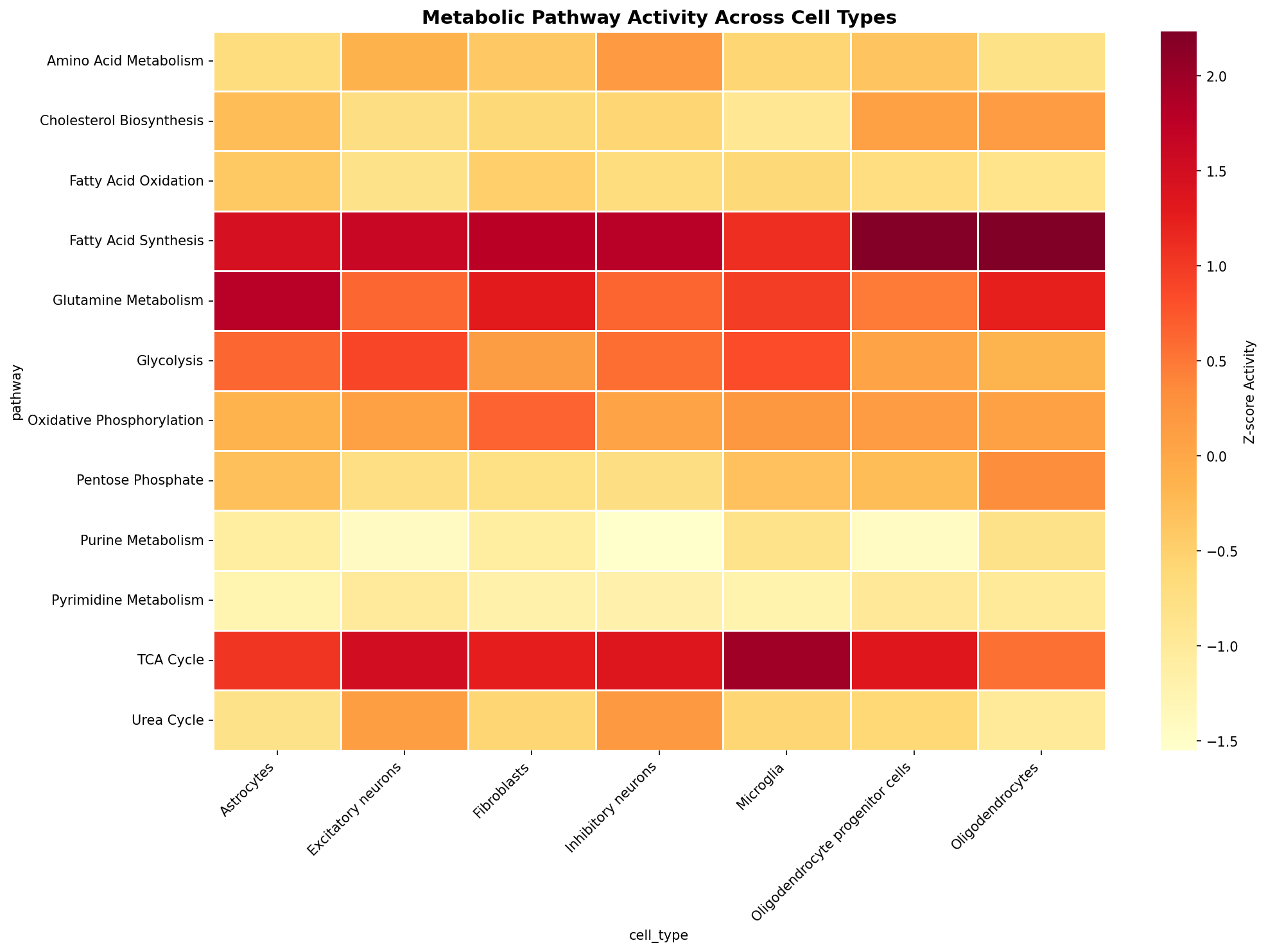 Metabolic Pathway Heatmap