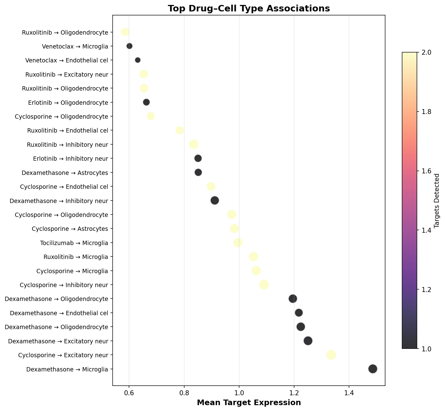 Top Drug–Cell Type Associations